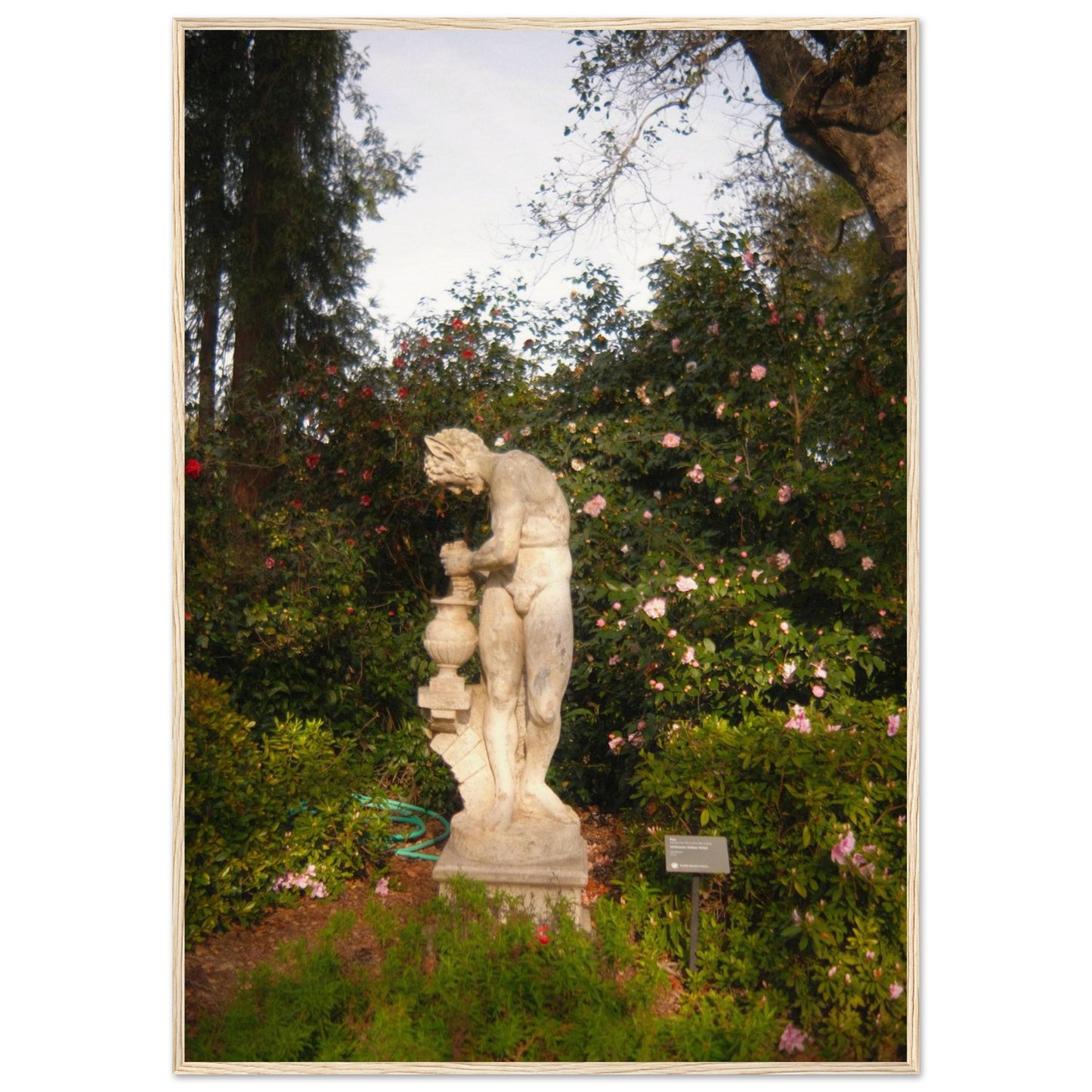 2b3c90b8-fabb-4b5d-bee4-aadb253c9904