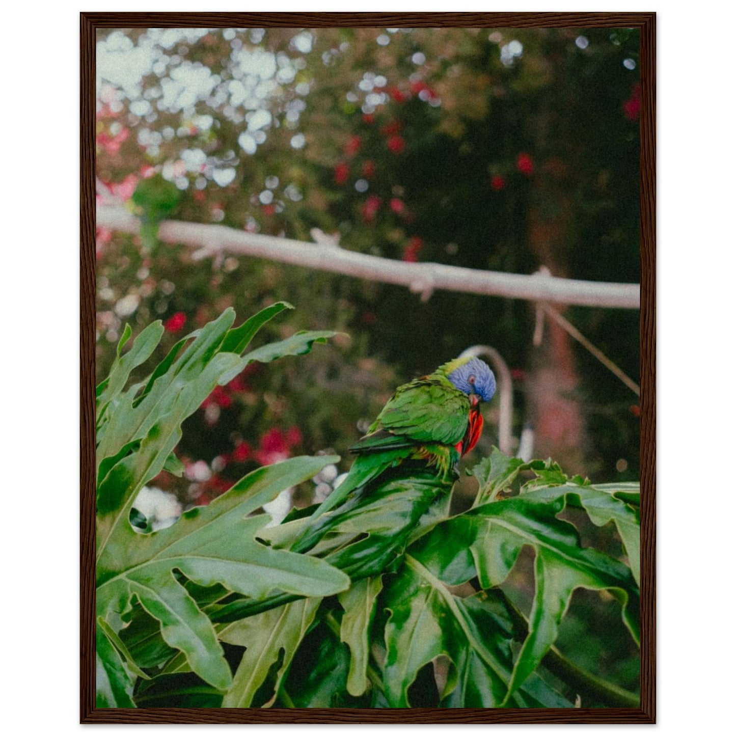 2b99edc0-2266-4254-aa7a-7a297324324f