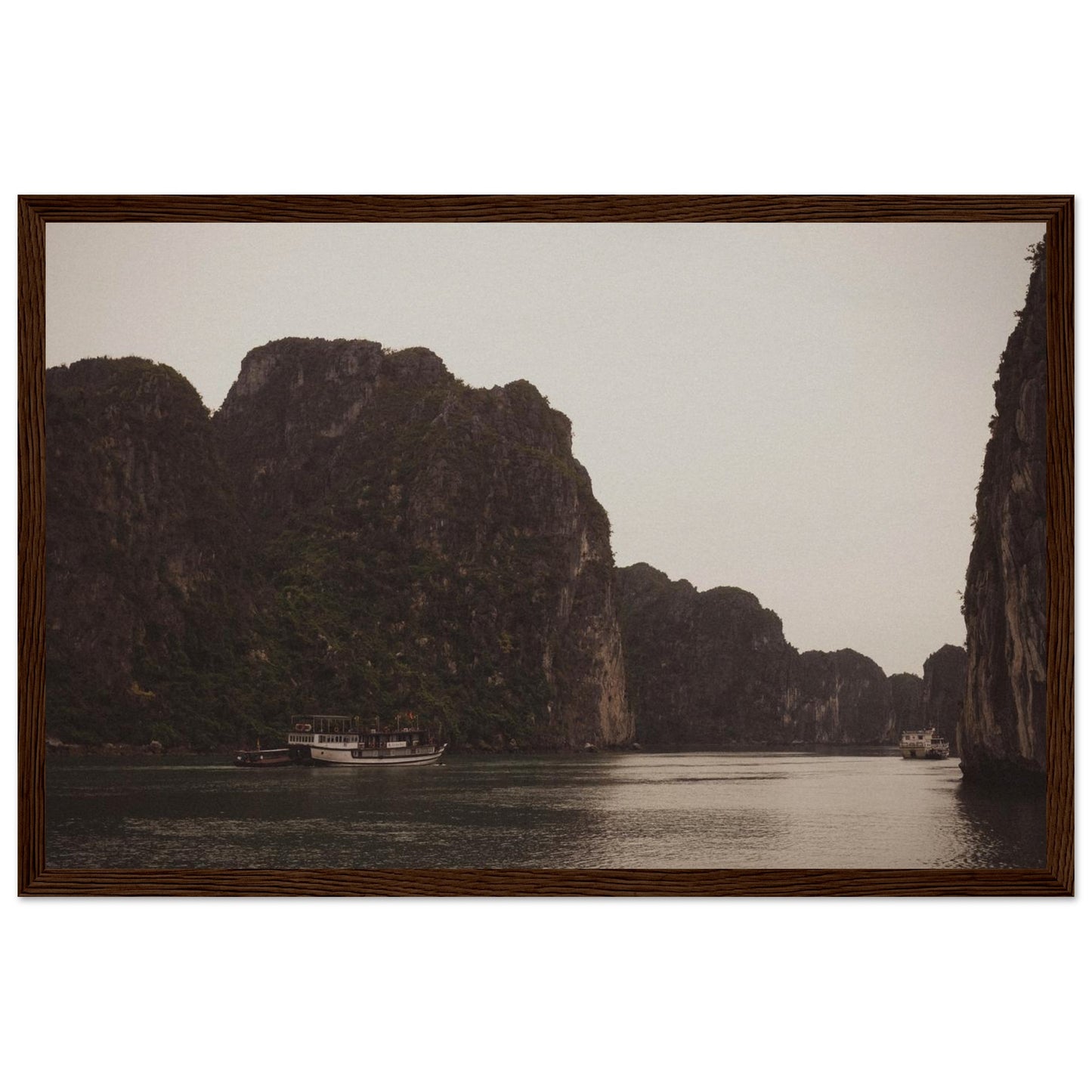 2c8d77c8-dde0-438b-928c-b01c8754c554