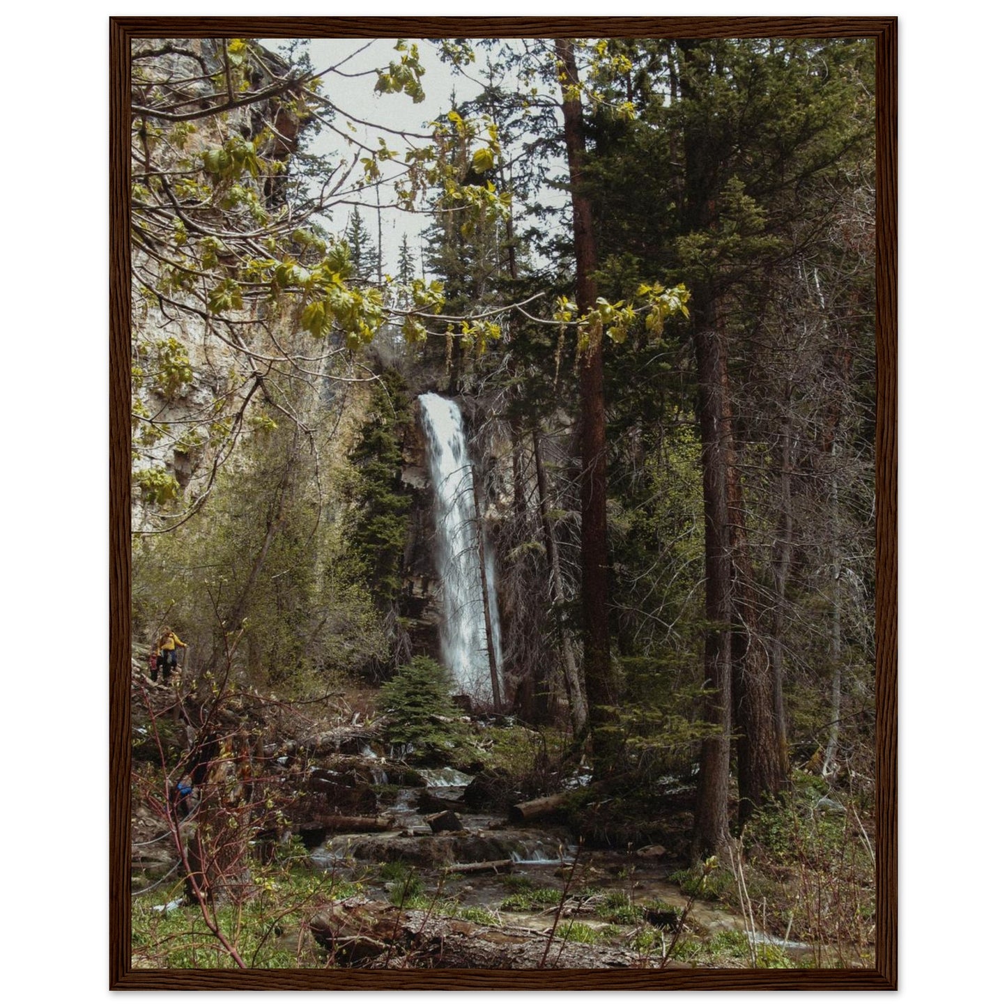 2f1136fb-c560-4e90-93e2-5dbe95fa9b2e