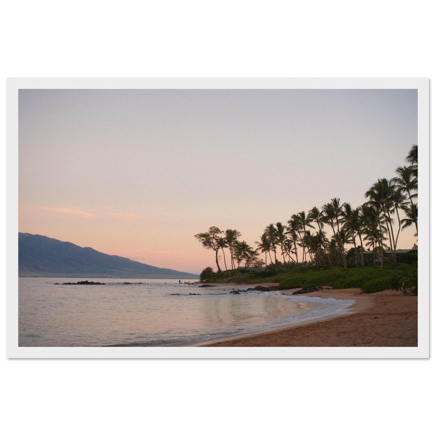 2fb2bb84-8e4d-4c9d-955f-7c99f7c878f0