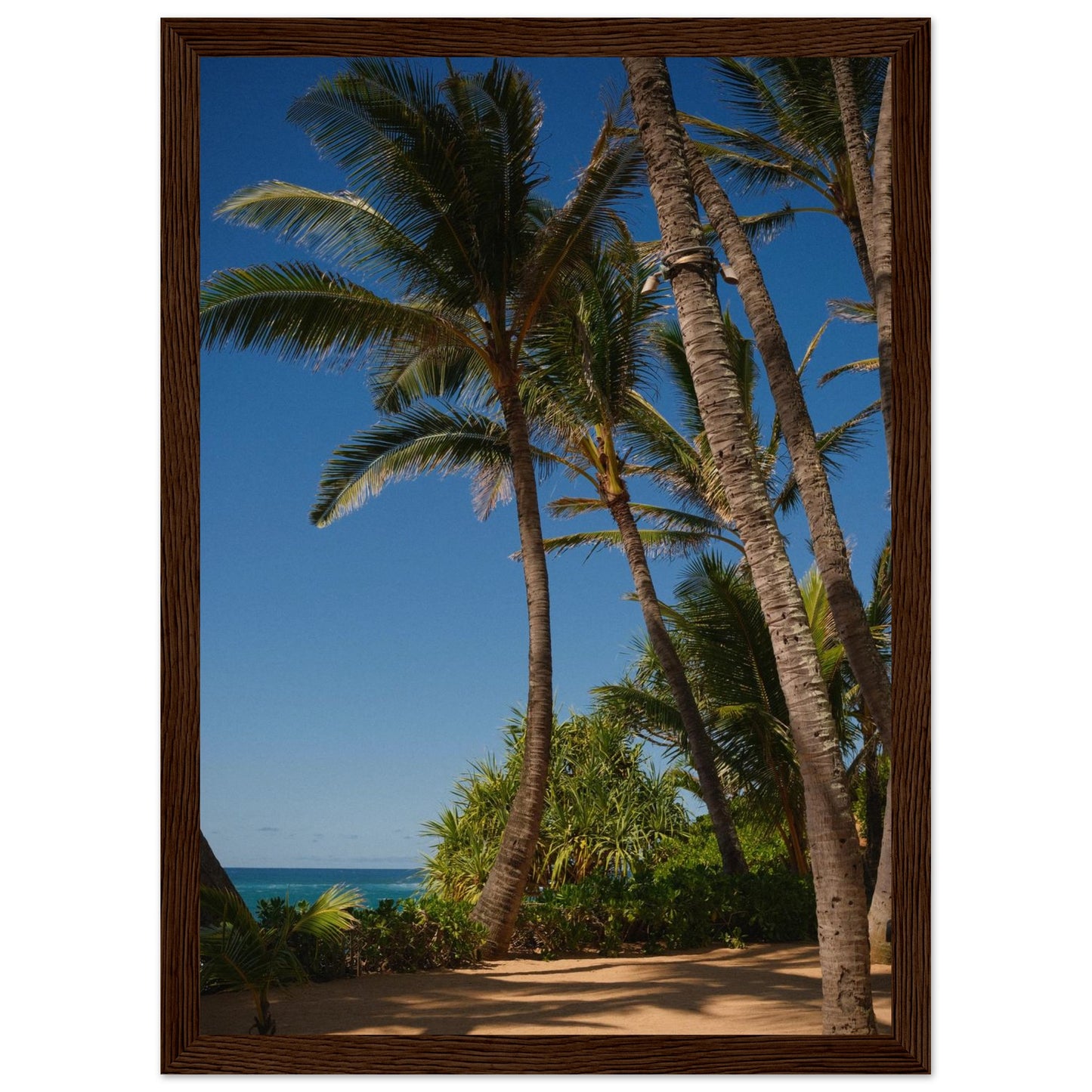 2fc6e912-7207-4bd0-83cf-8228c81d6911