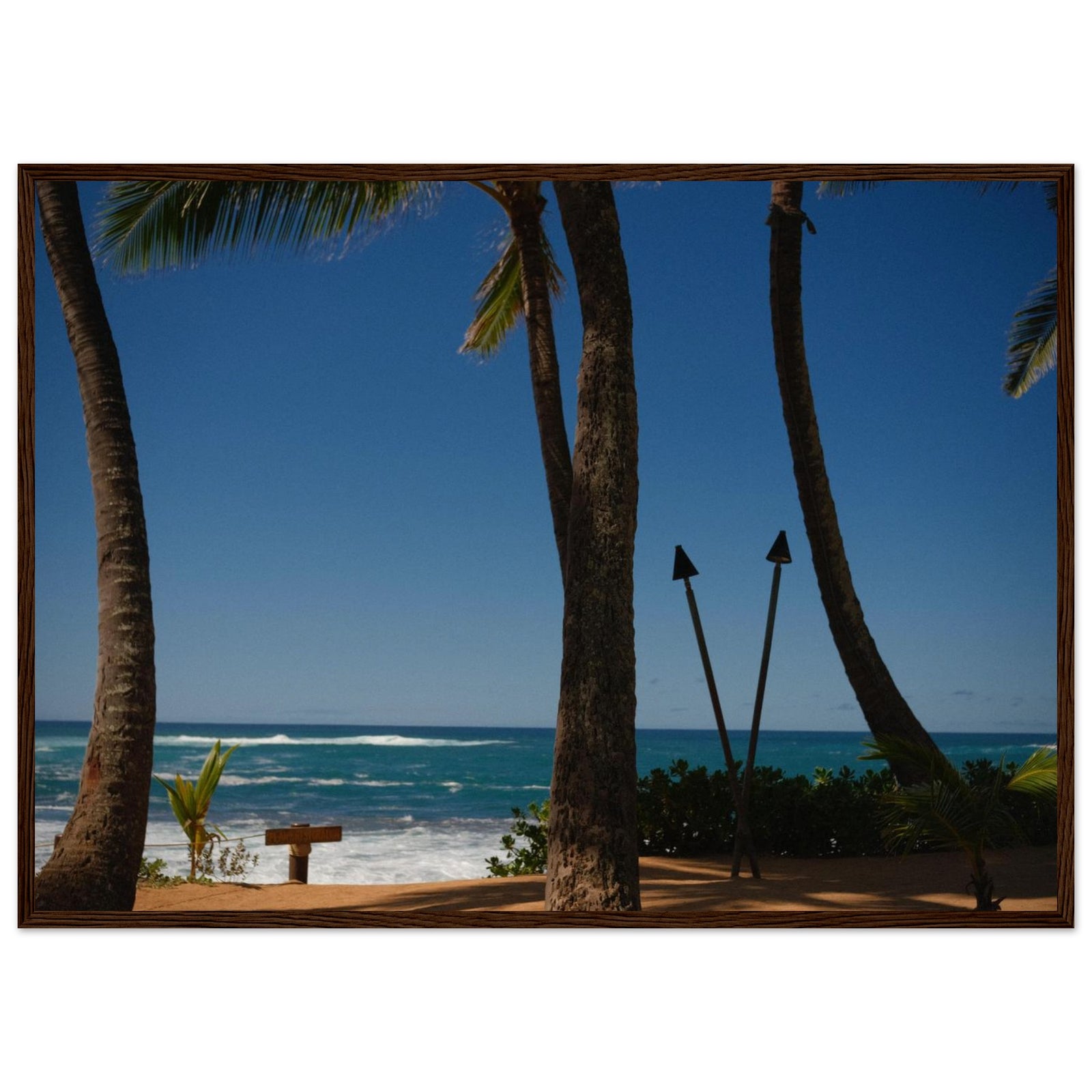 30e97256-a802-46c8-ab9a-63086e155f6a