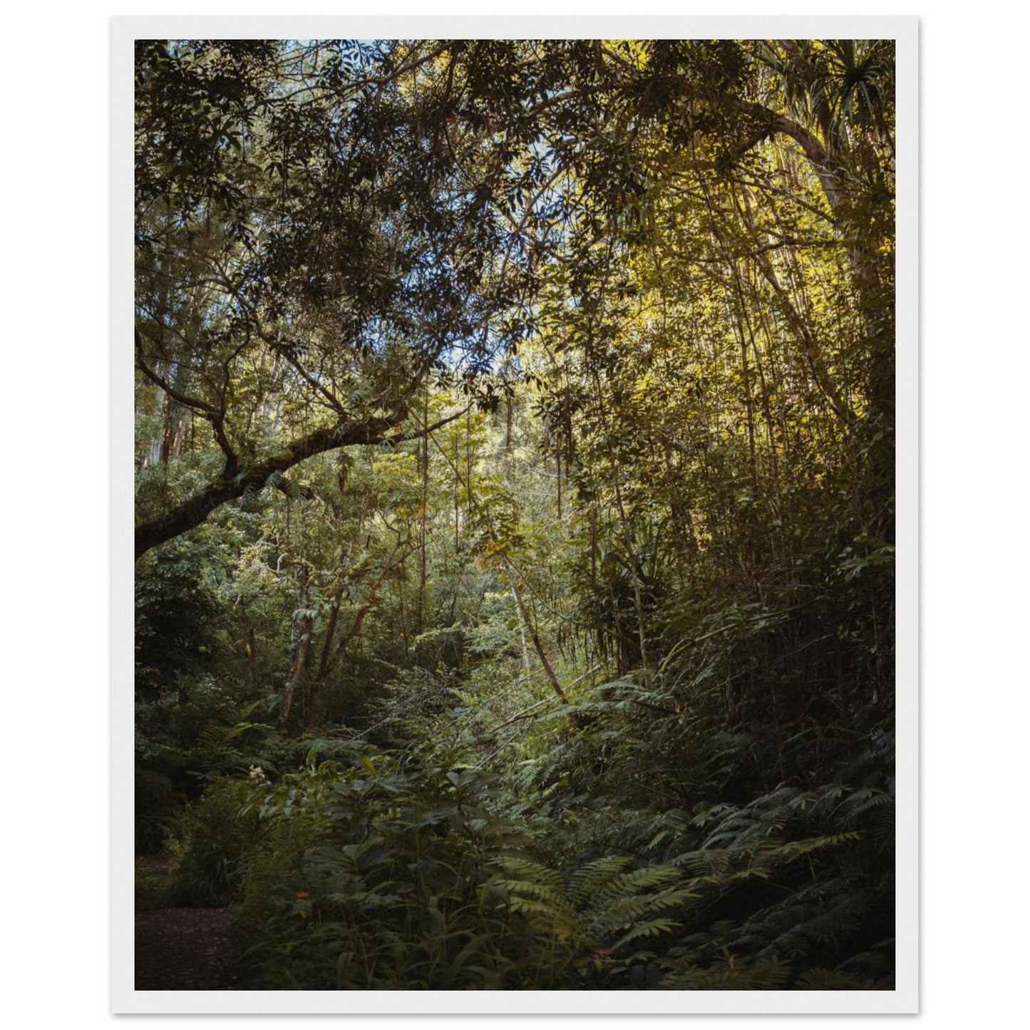 31b9185e-ce54-40c4-97e6-5396082ec209