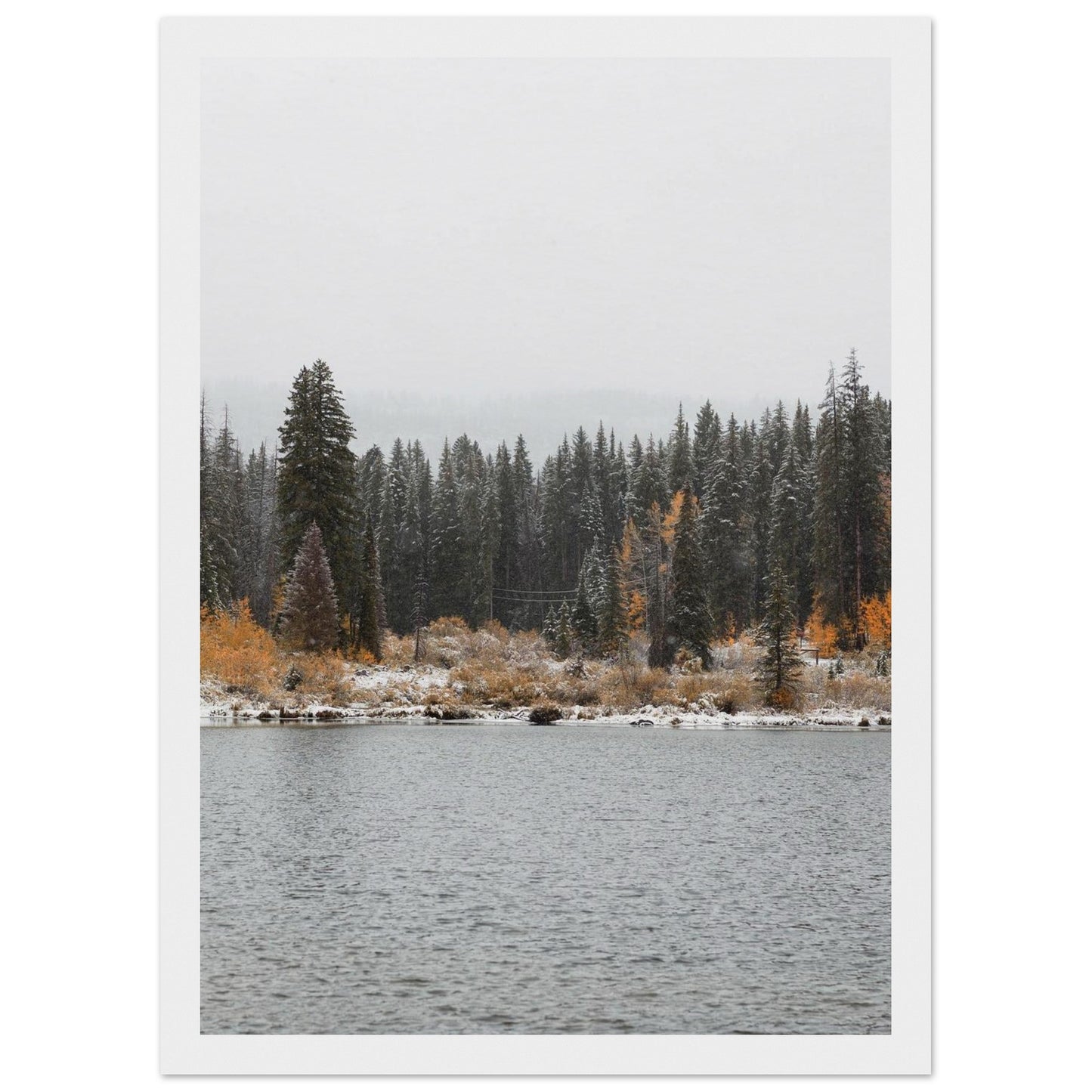 32b32b4e-8eaa-403d-8dfd-12dea441bcee