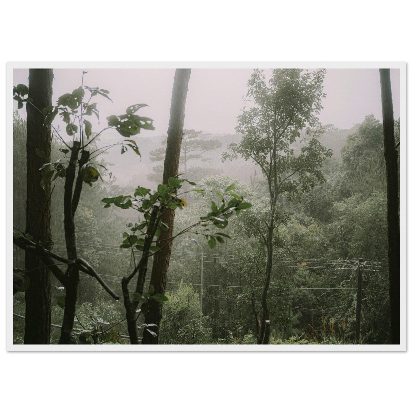 32cf8bbb-2c59-4607-987c-e4adc89808bd