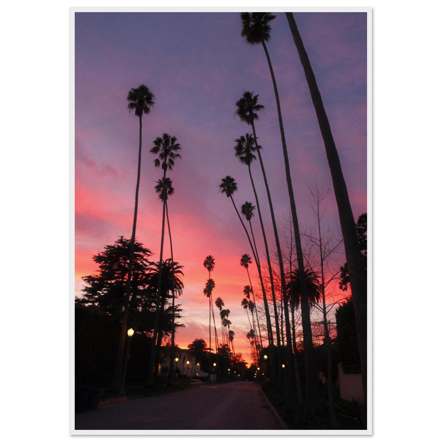 3387cbea-52d2-4c50-8b0b-ddf47a31d77b