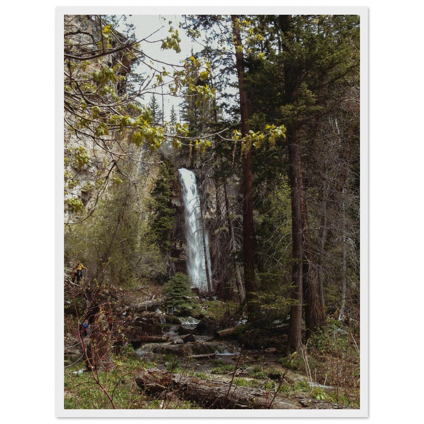 33952d3d-d3e2-464c-b80b-12897e82499b