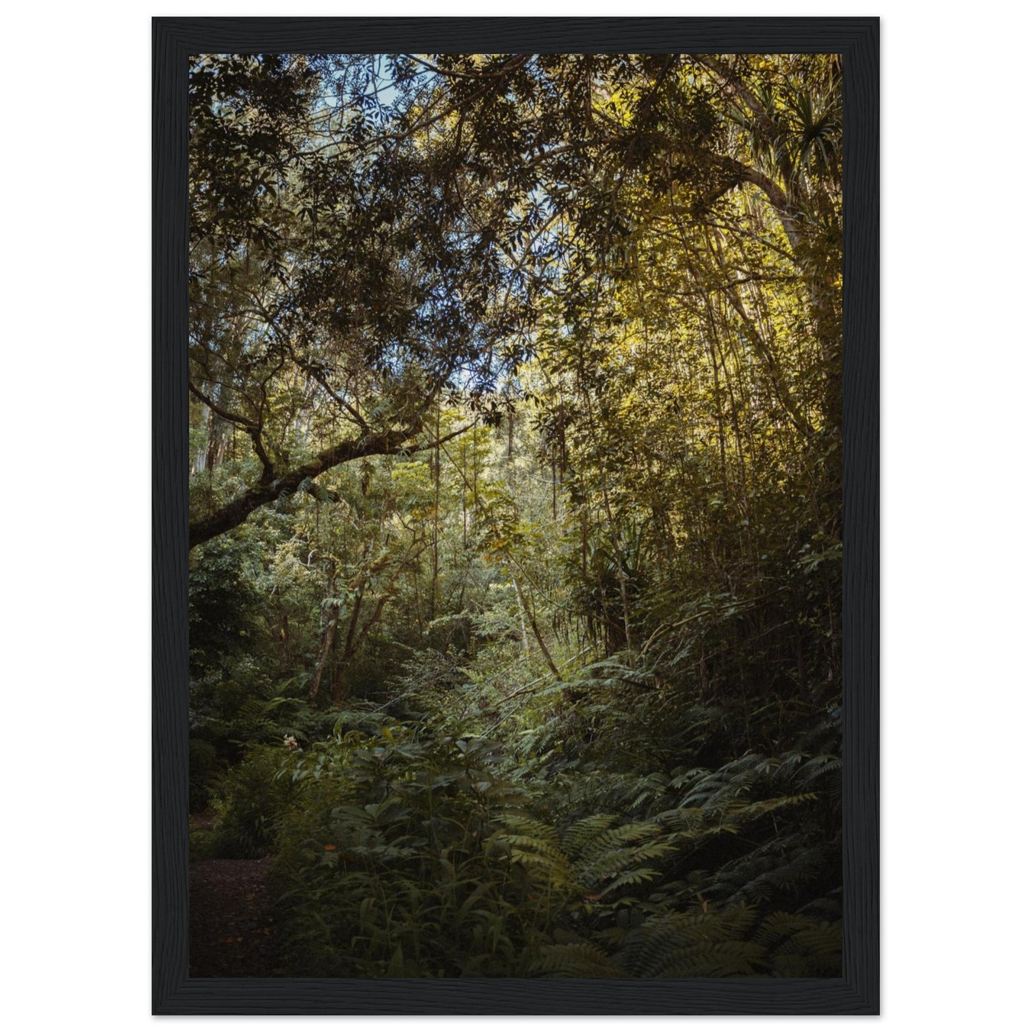 33c63016-c7b9-4e44-801a-3055401d4bd4