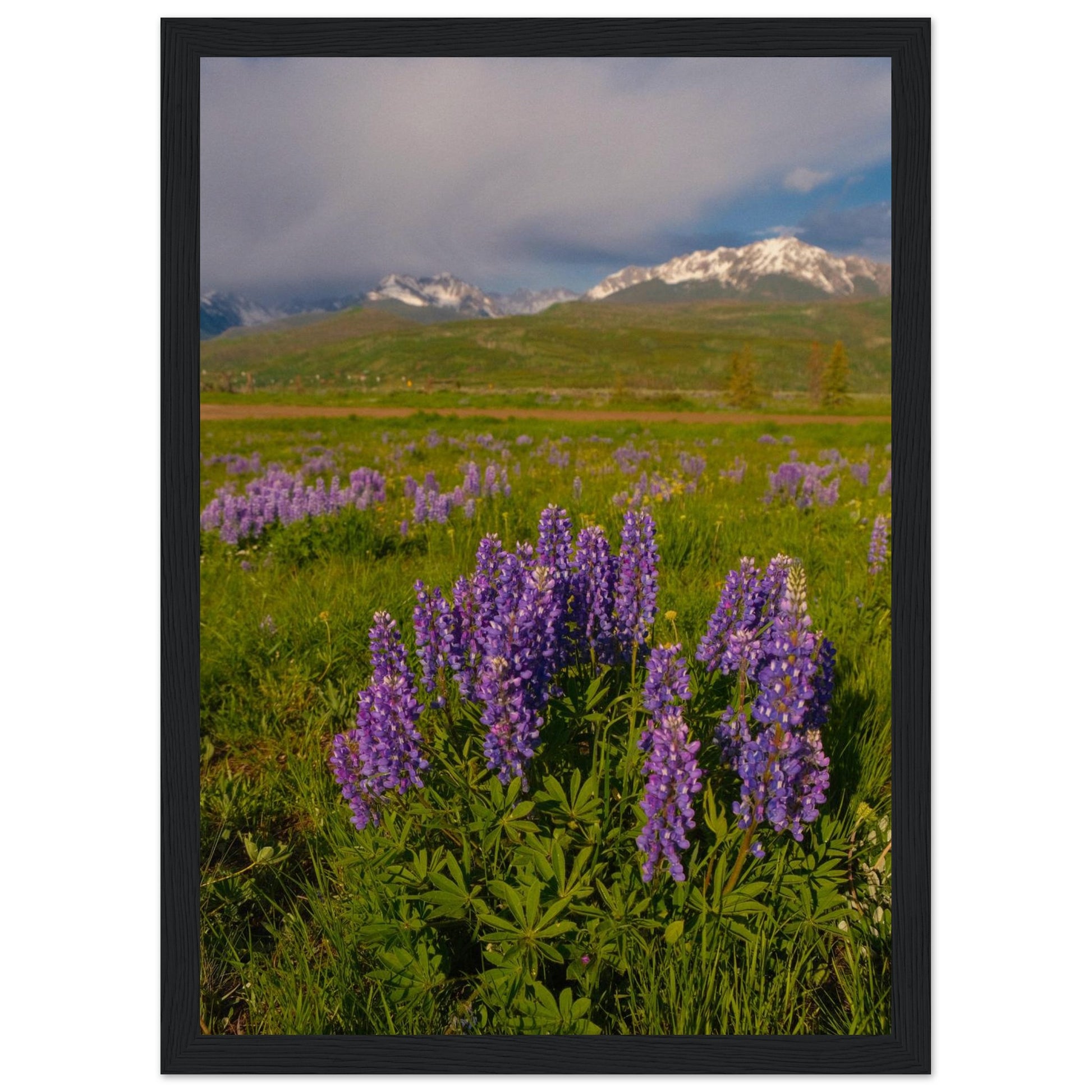 33d34737-cfbc-4982-927a-7b6095fca289