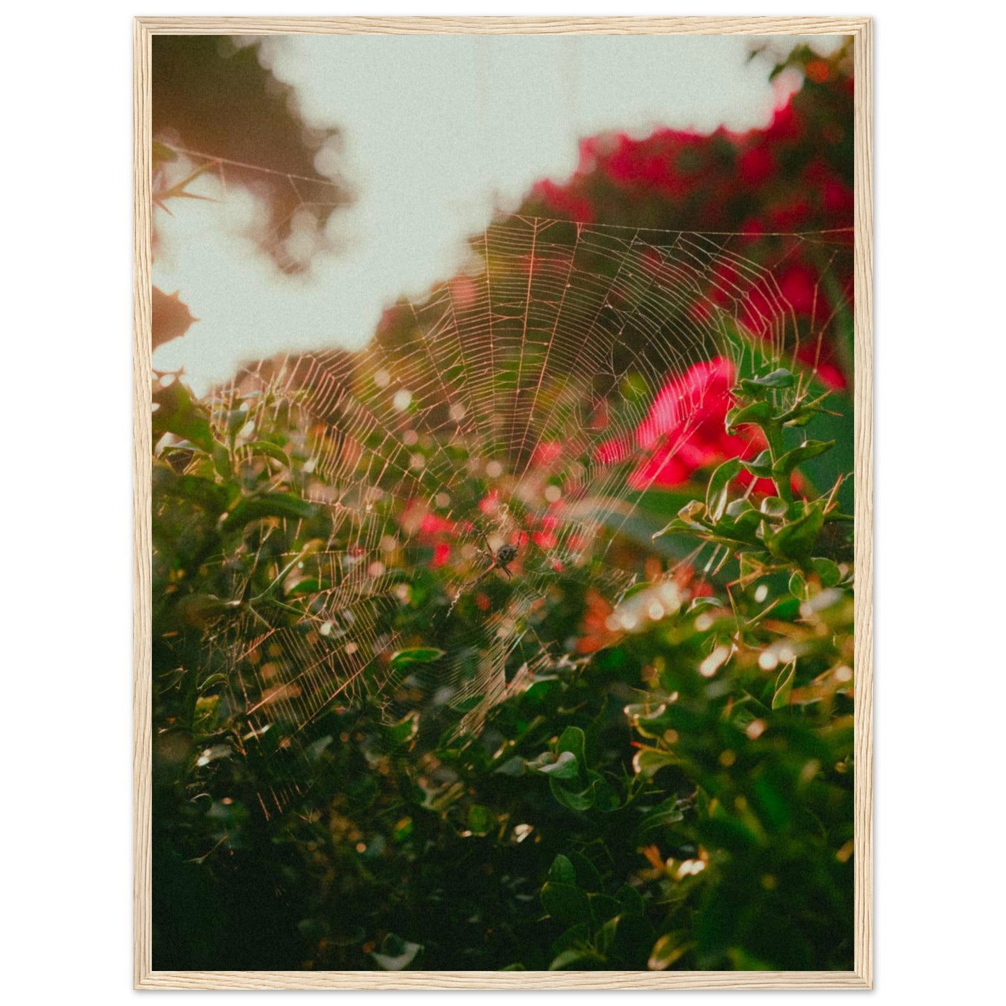 33e6fe9c-9851-4b1c-8858-2bdd3f195964