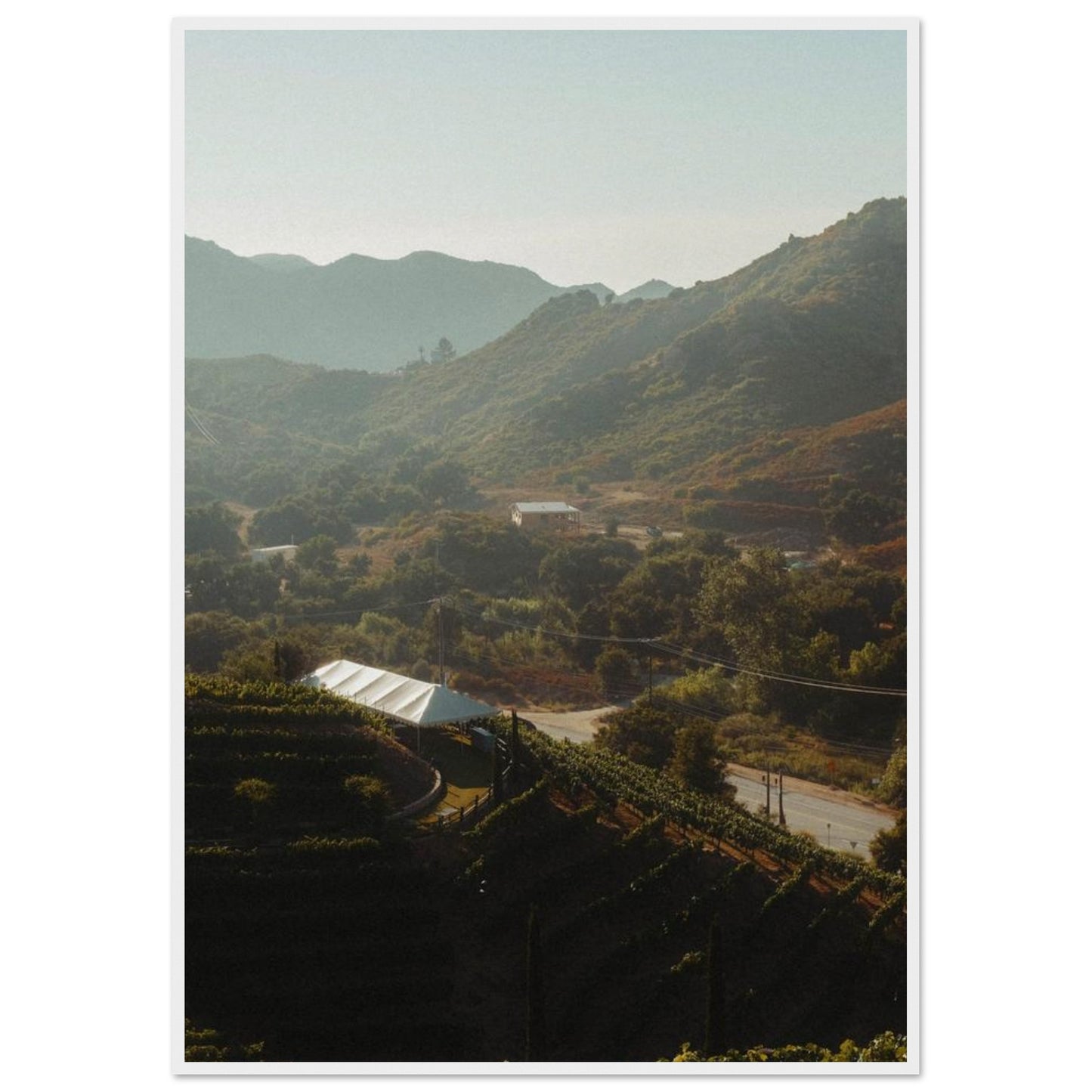 34647965-8b4f-47e8-91cb-ceefbea9bf87