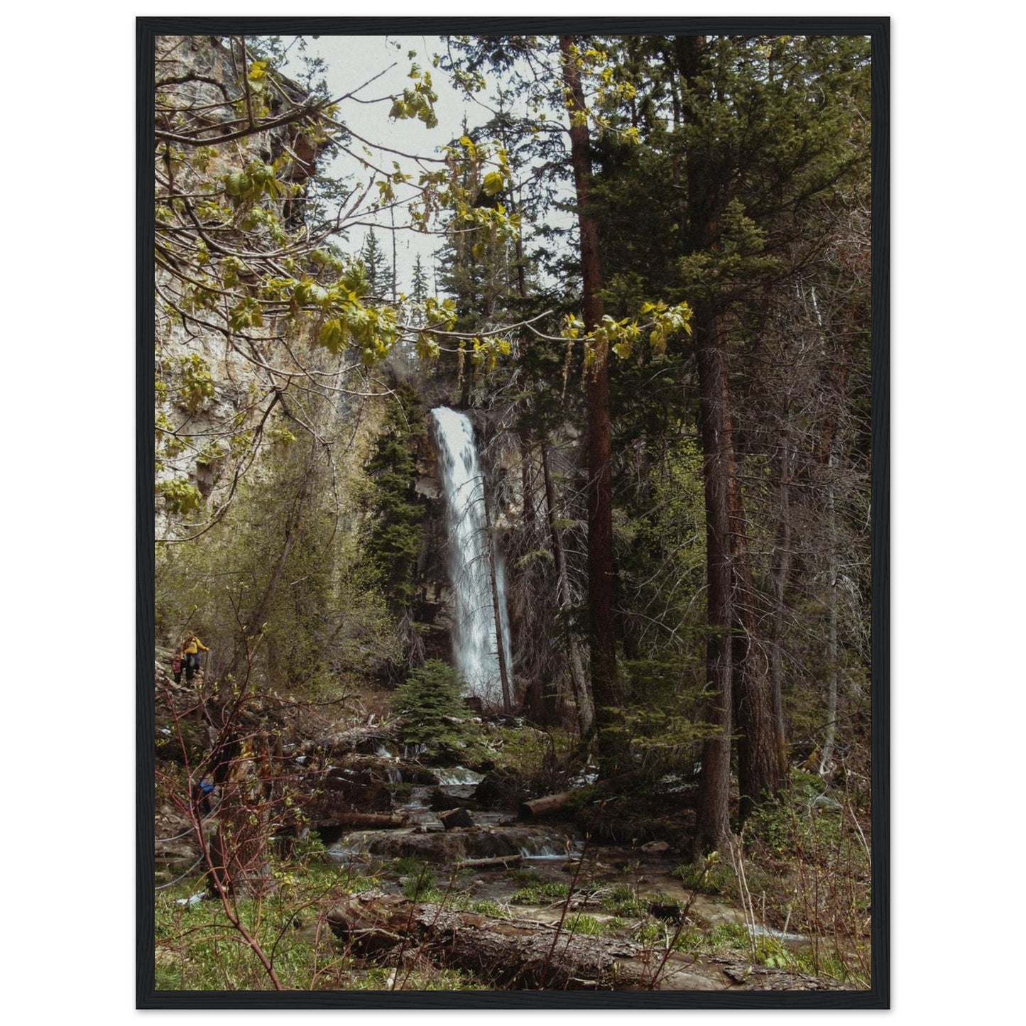 349bcdaf-59de-43fe-8f3c-a7ec3bbb4f68