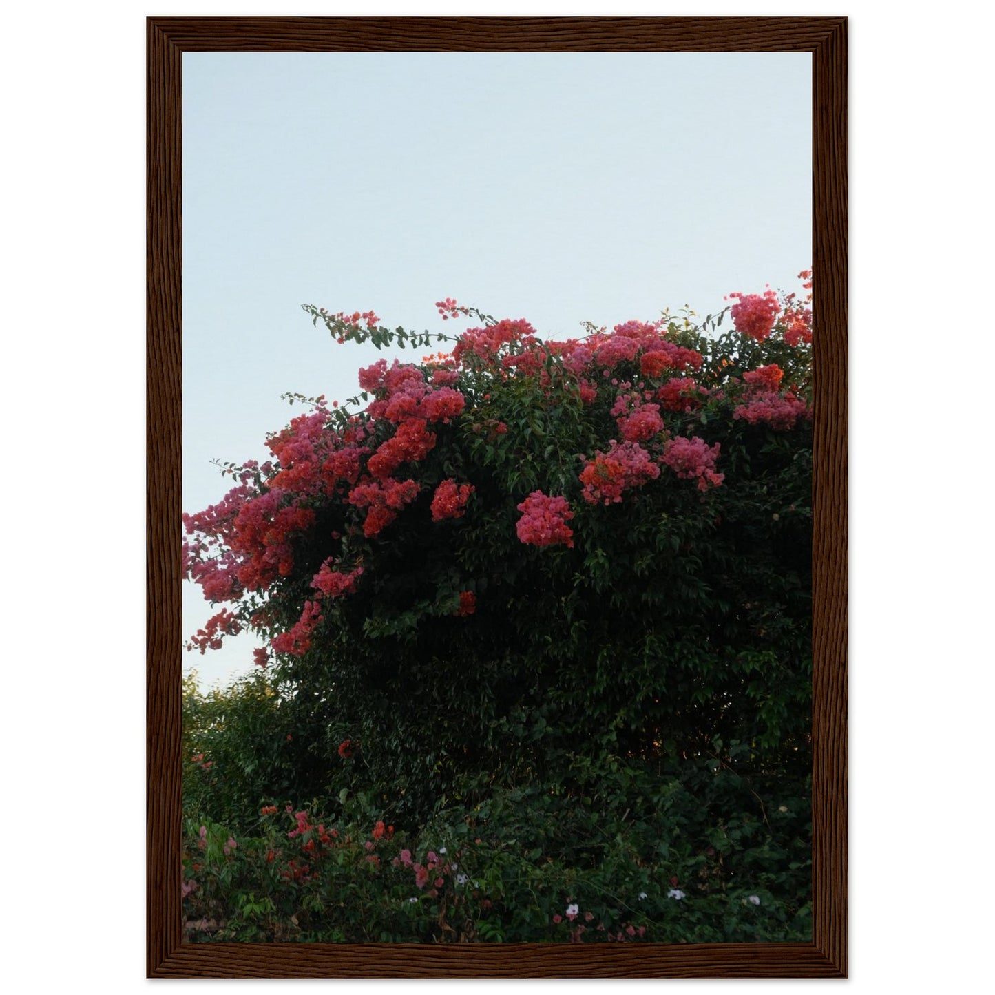 3663bf9a-41f5-40c7-ab9f-bc5130a01c07