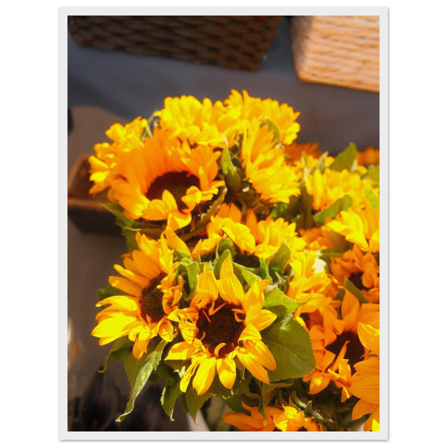 36e5e929-e863-457a-8fed-9621c59e5d00