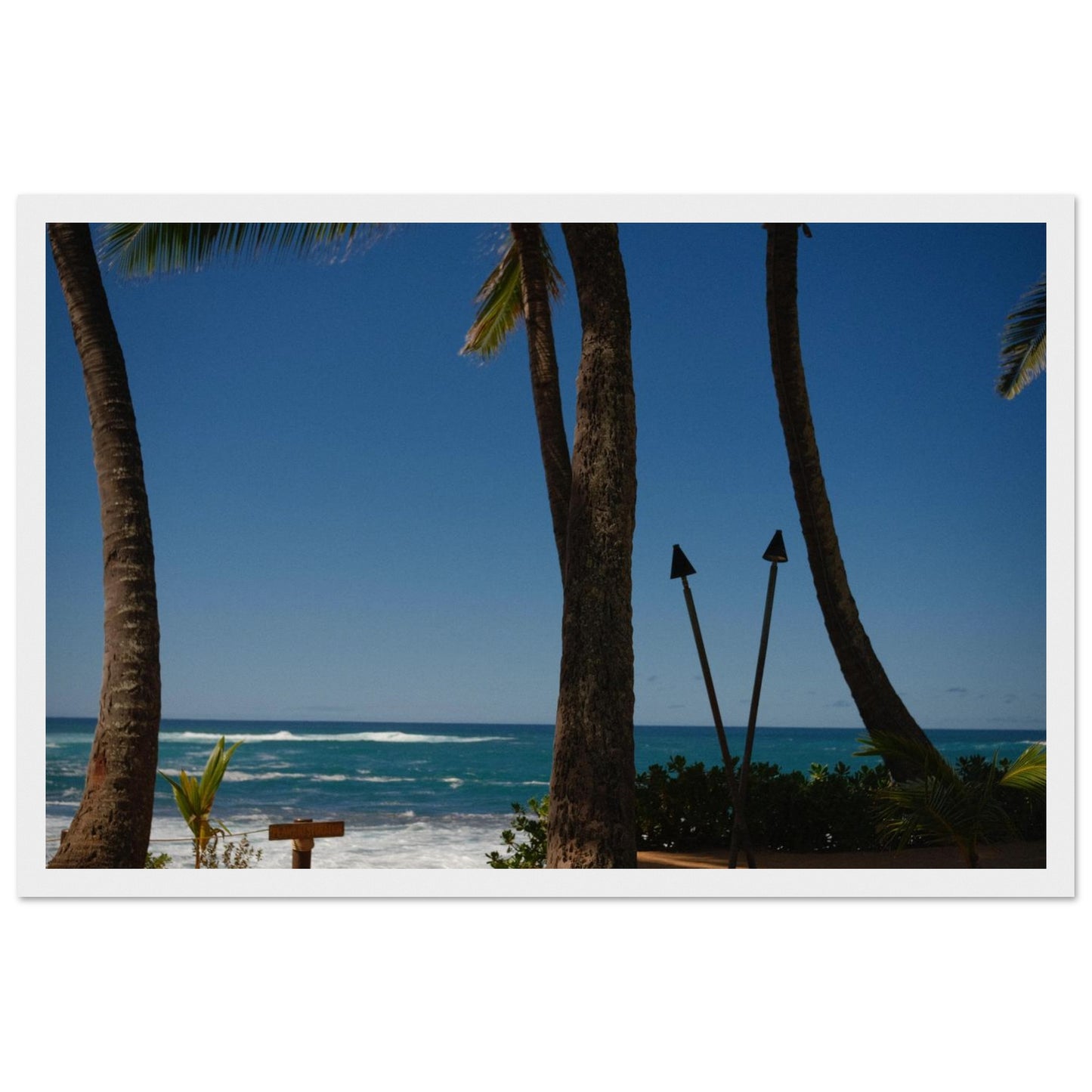 3a185c57-8ab3-439c-bce7-fa27feea1f0c