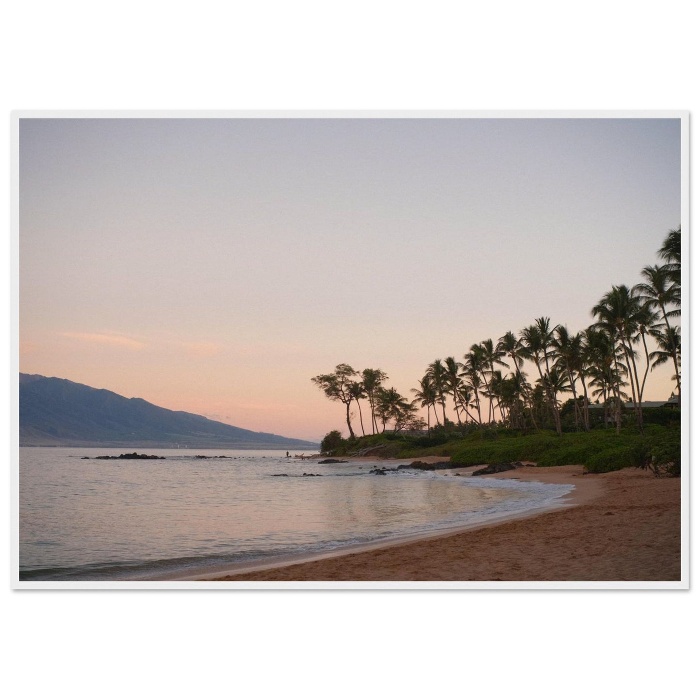 3f663446-5ada-4b7b-b0d1-ad4f81392dfb