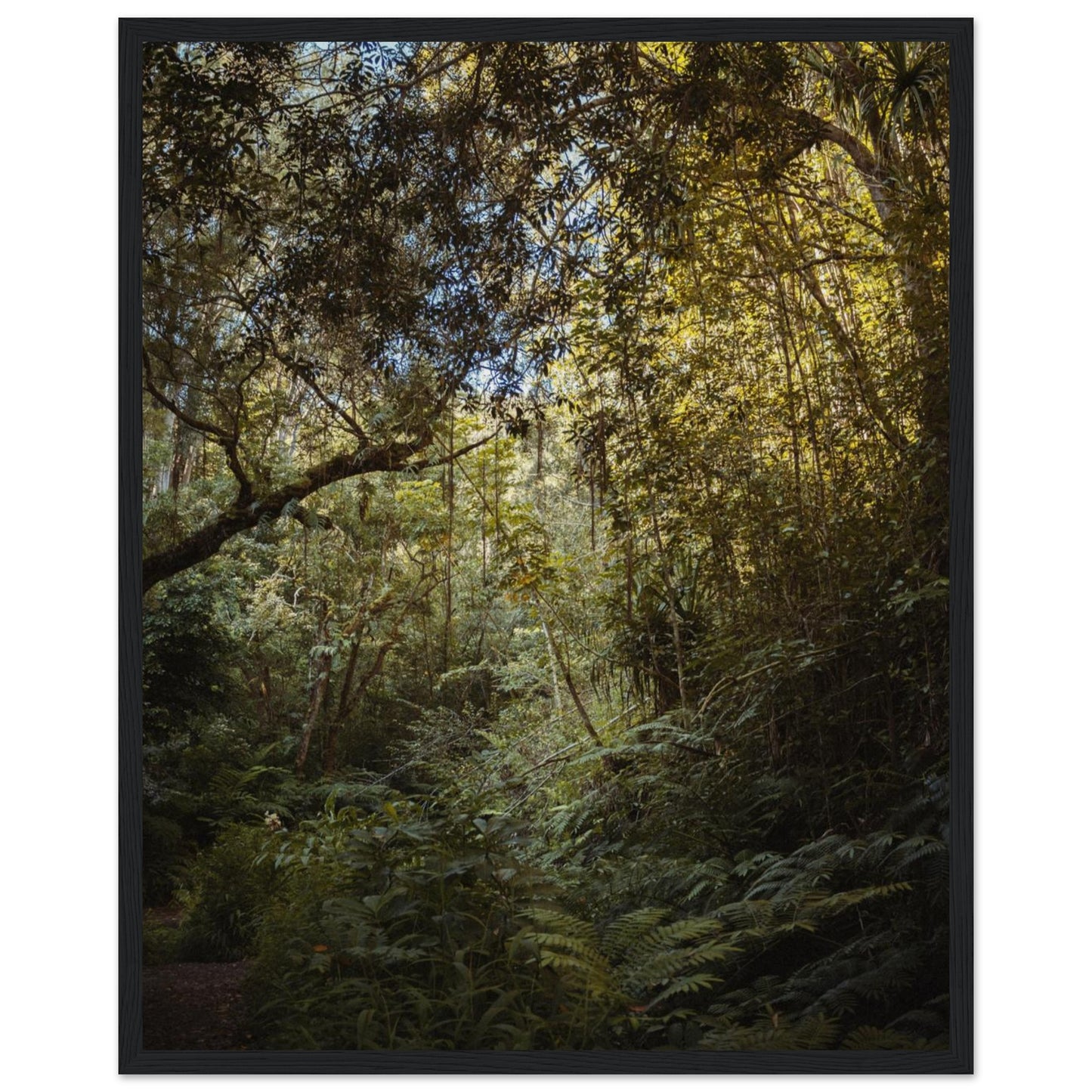 403e4fcc-c1e9-4262-ad1b-71a9af6c1b96