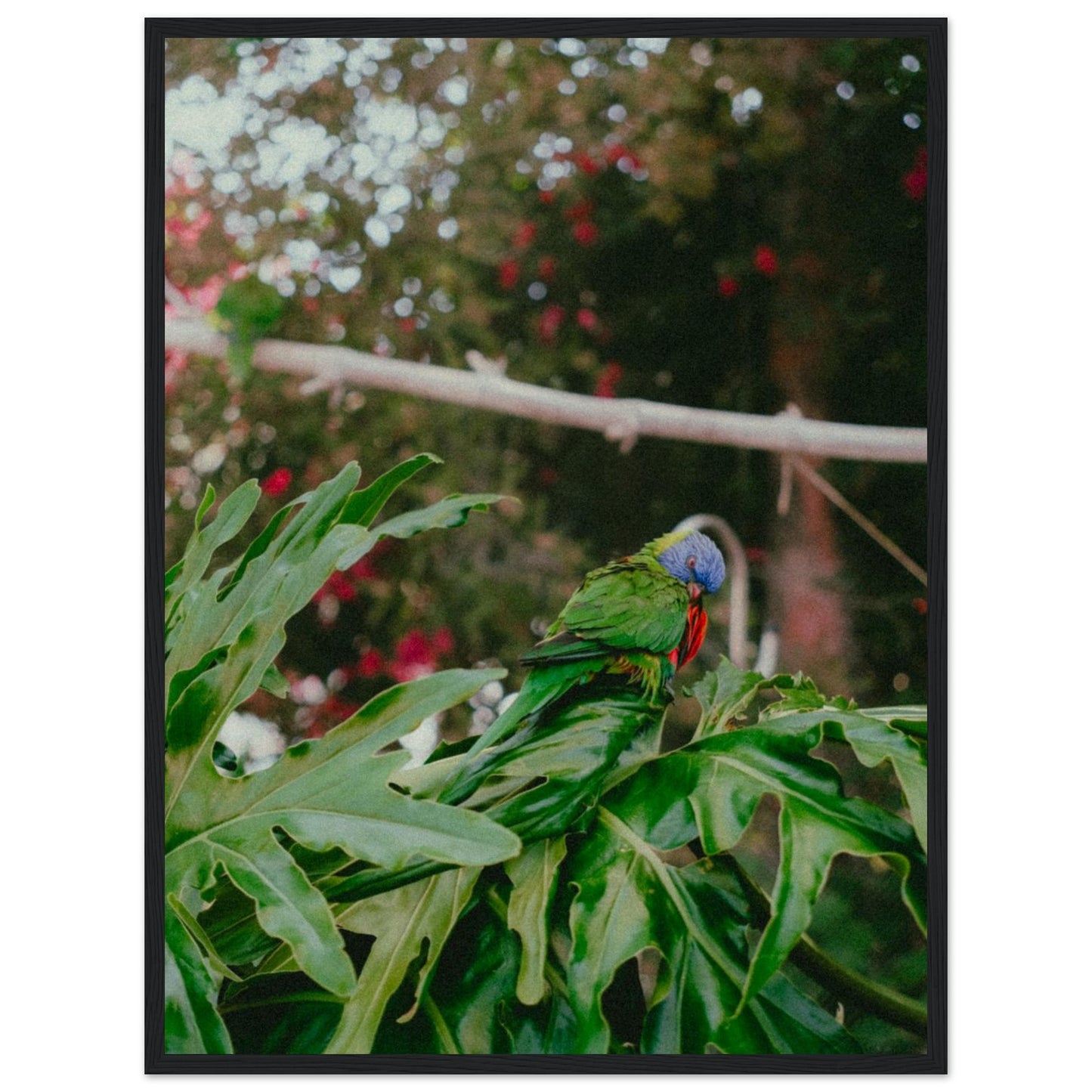 415a059c-6d8f-4cd7-b1c8-2fa3a56bb25f