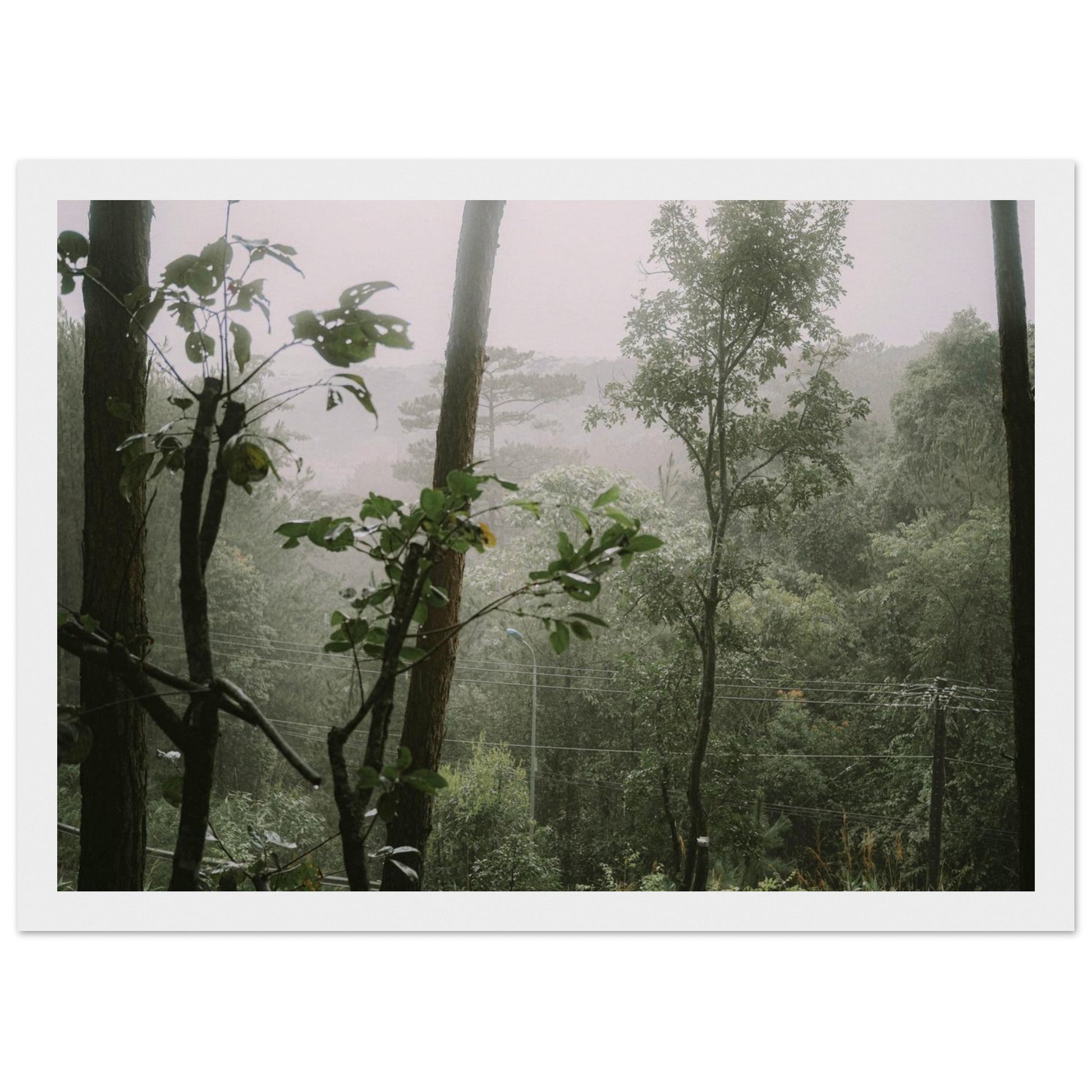 4175a235-327f-43f2-a16a-cec15abb70a8