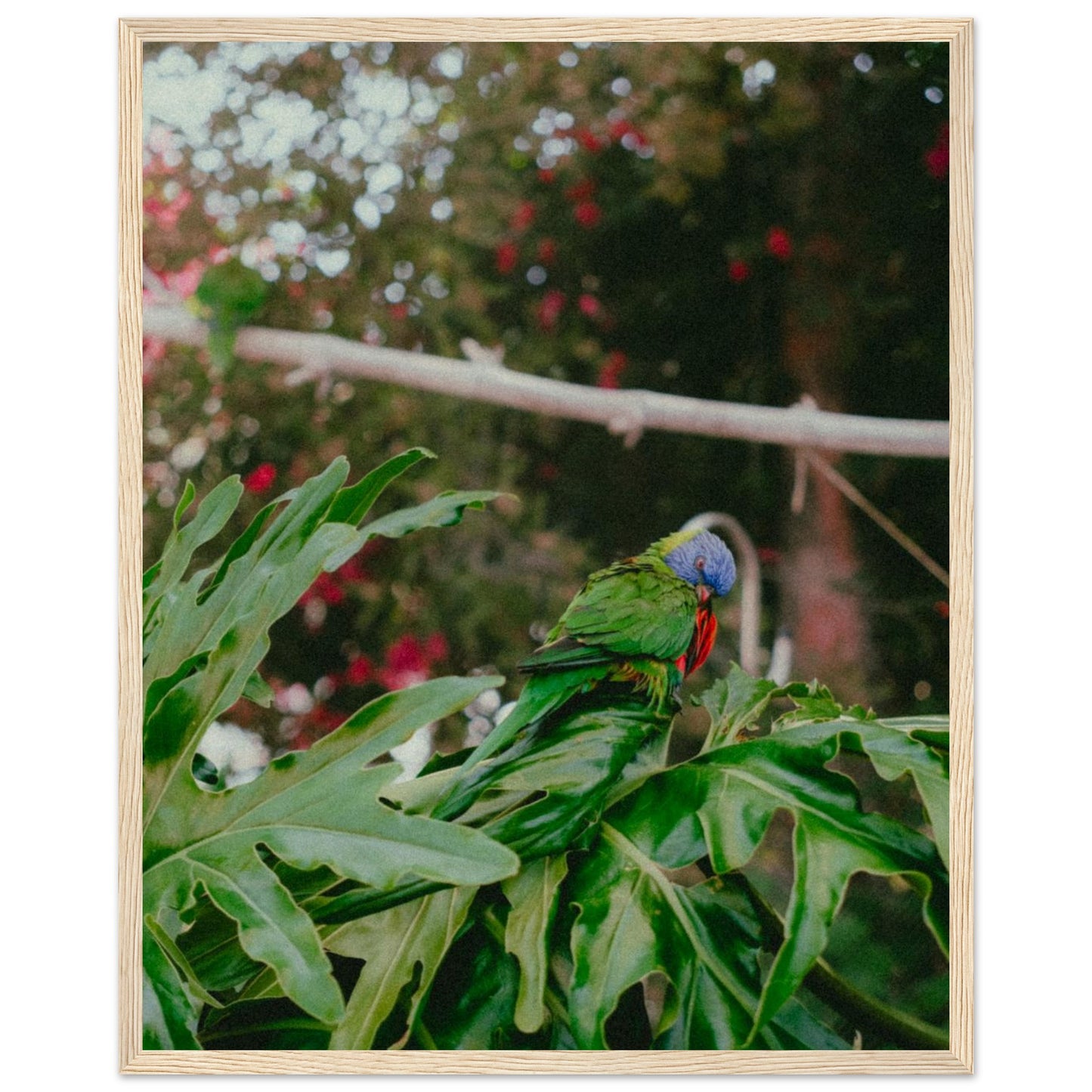 41d045ec-ed43-4f15-93f5-c14a567aeaf9