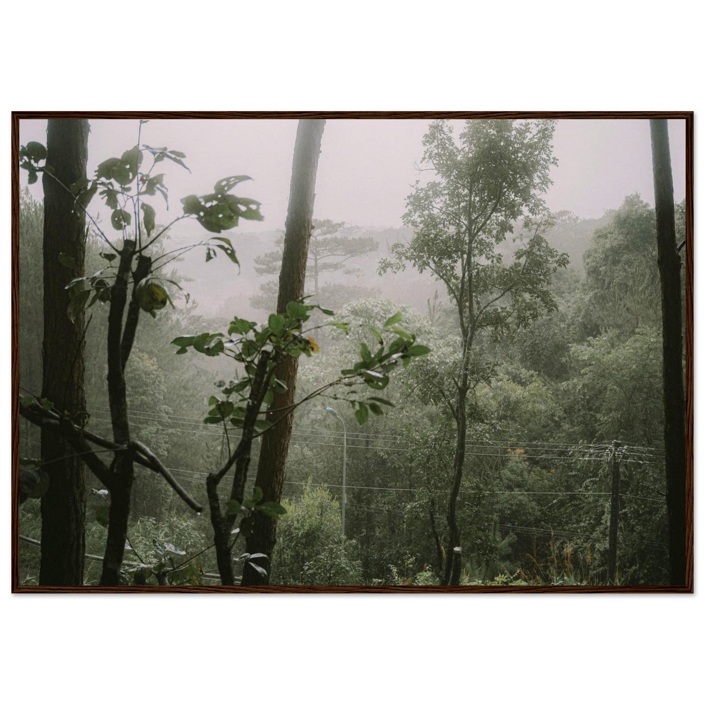 424afcac-96fa-442f-bc74-4fc2ba69460b