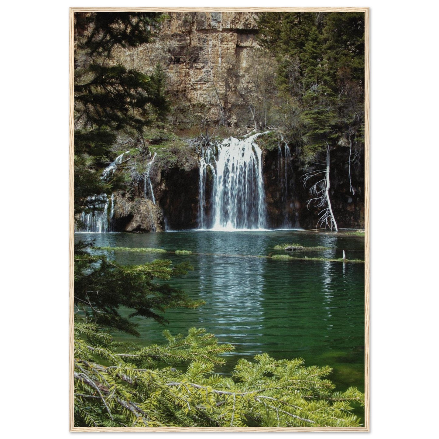 430e0a5e-515f-417c-a06e-9054f793f97f