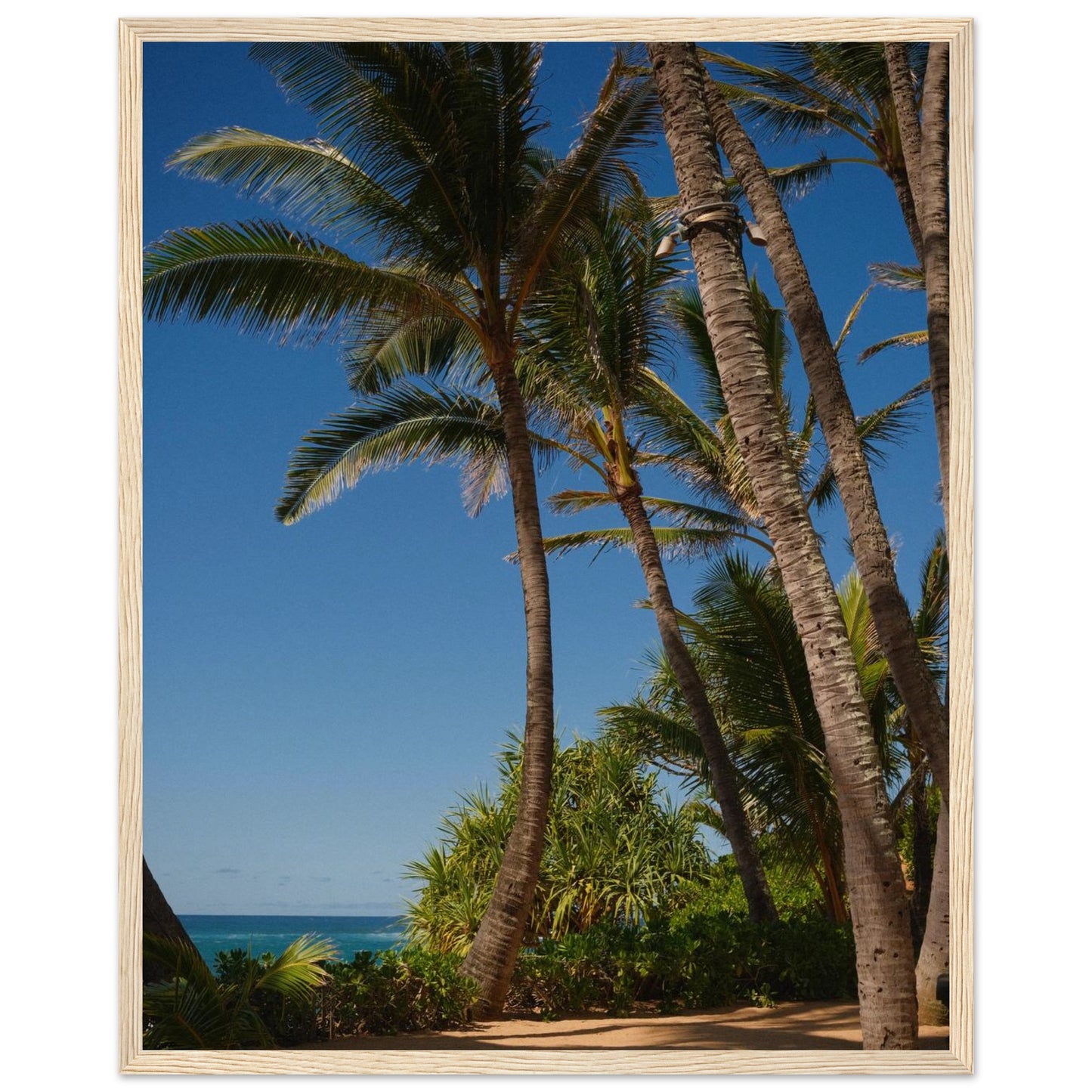 436d7fcf-161f-4a33-a232-f8597c6b398f