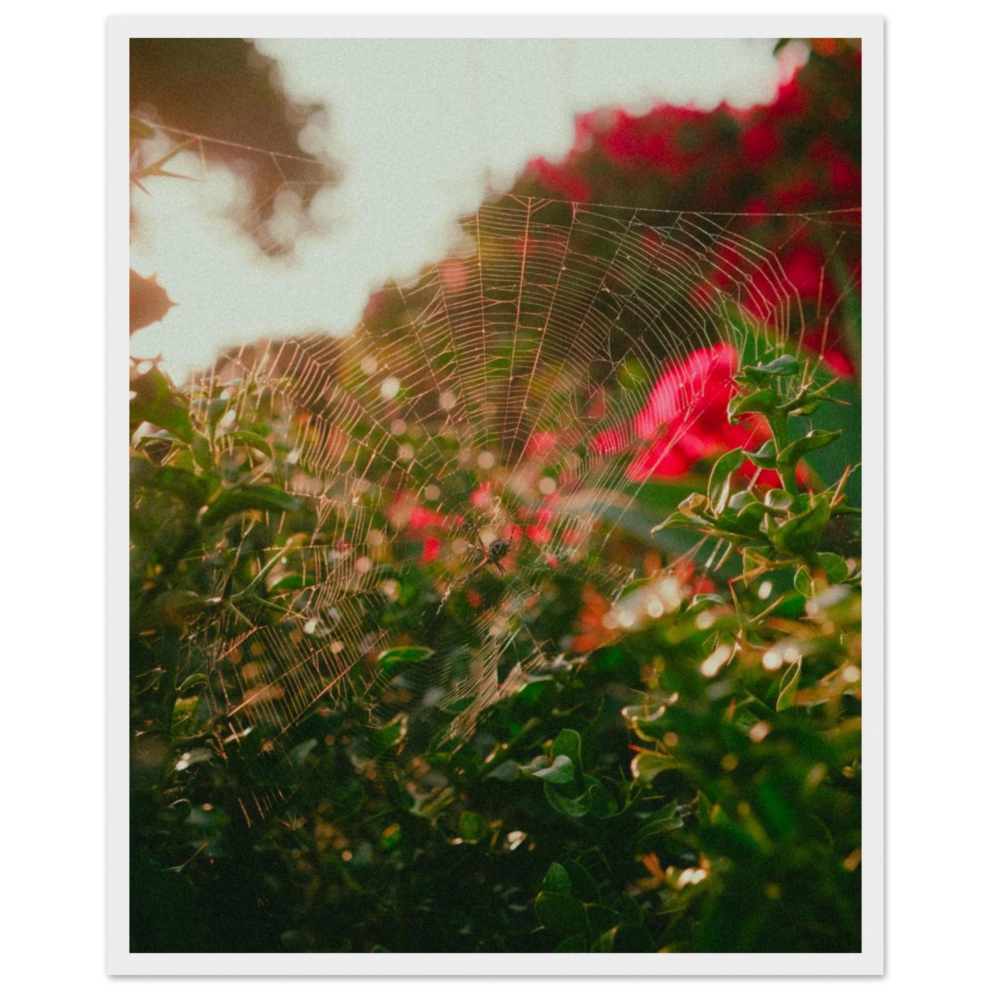 4494aa81-58d6-4d65-8b3d-e9841cbf7d49