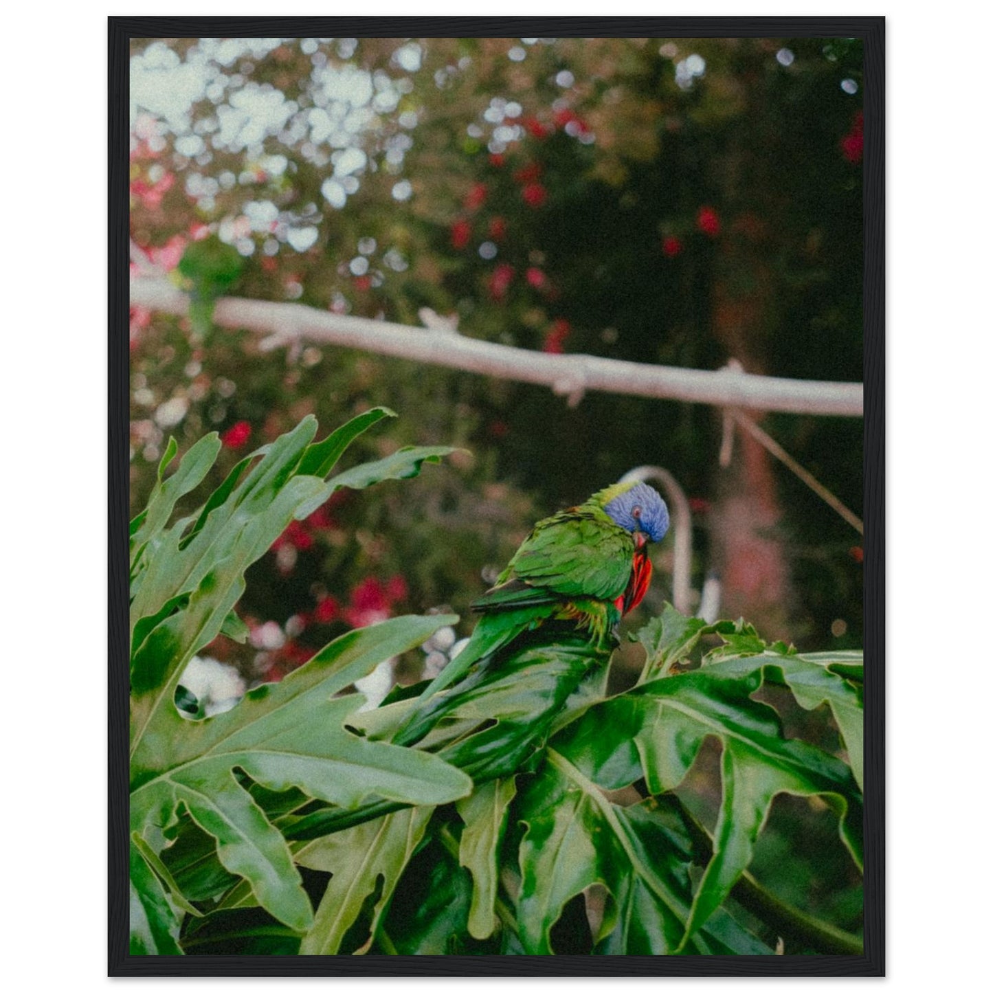 4621889b-59e9-434c-9e05-a880e23a9171