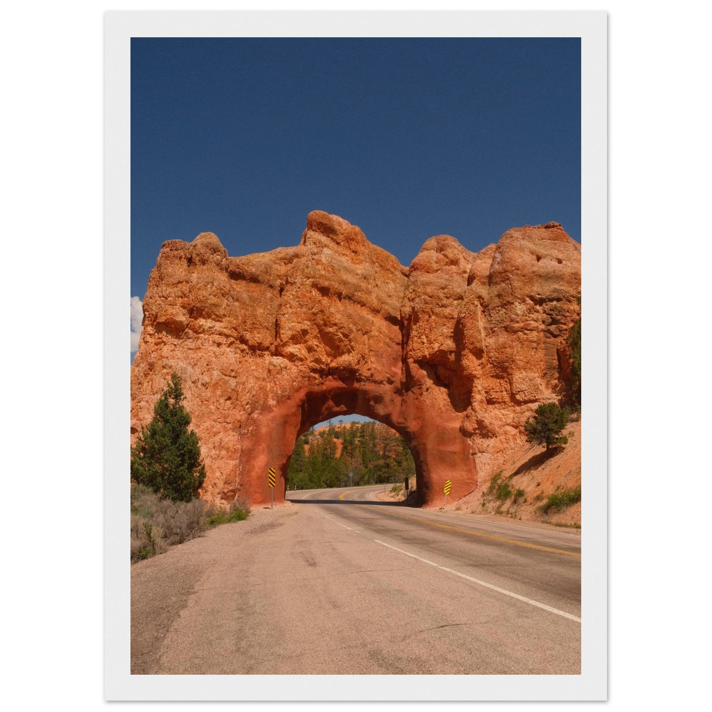 4631314e-51b9-4906-a119-3b7a2932aee2