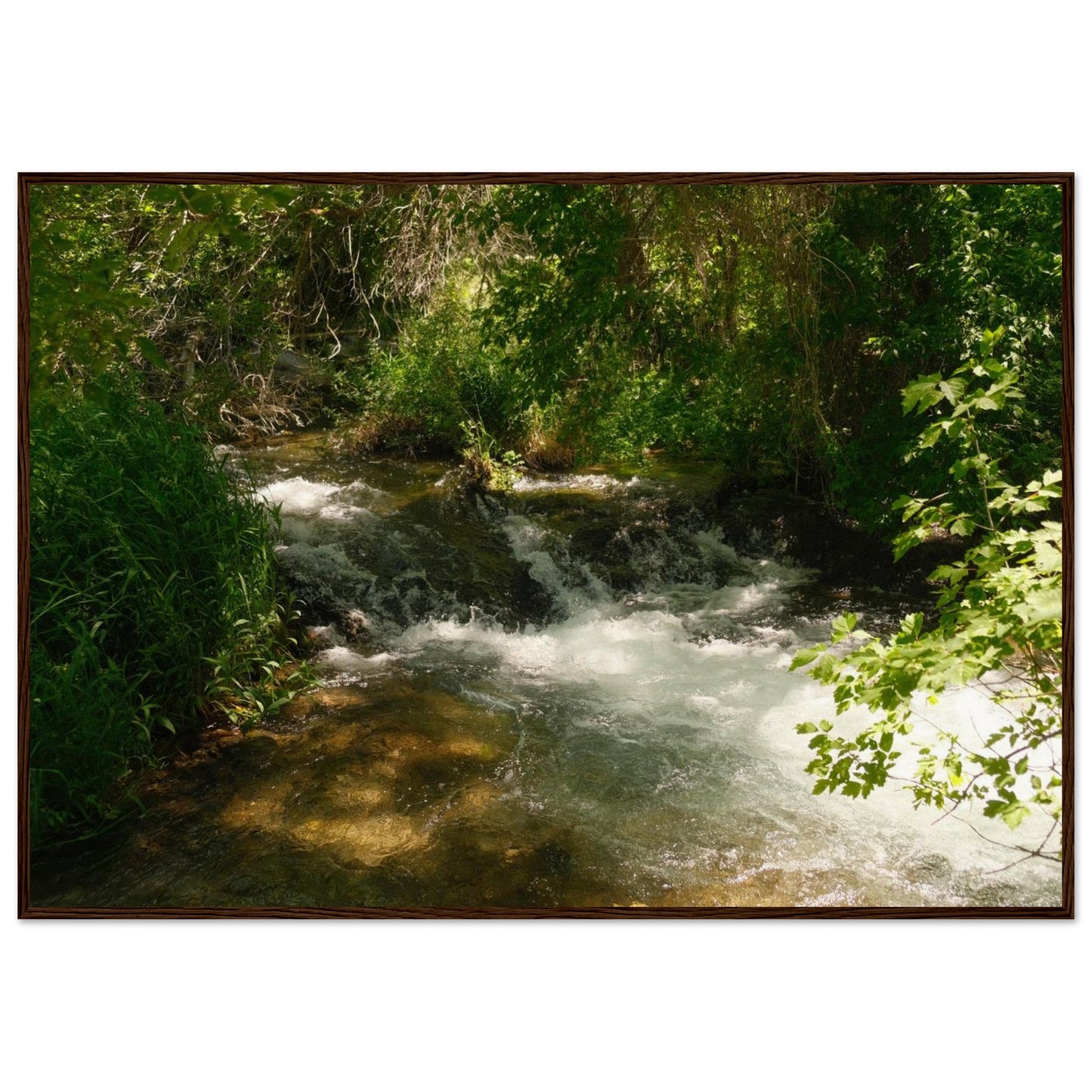 4672637e-2651-4620-9b01-8361496b66a8