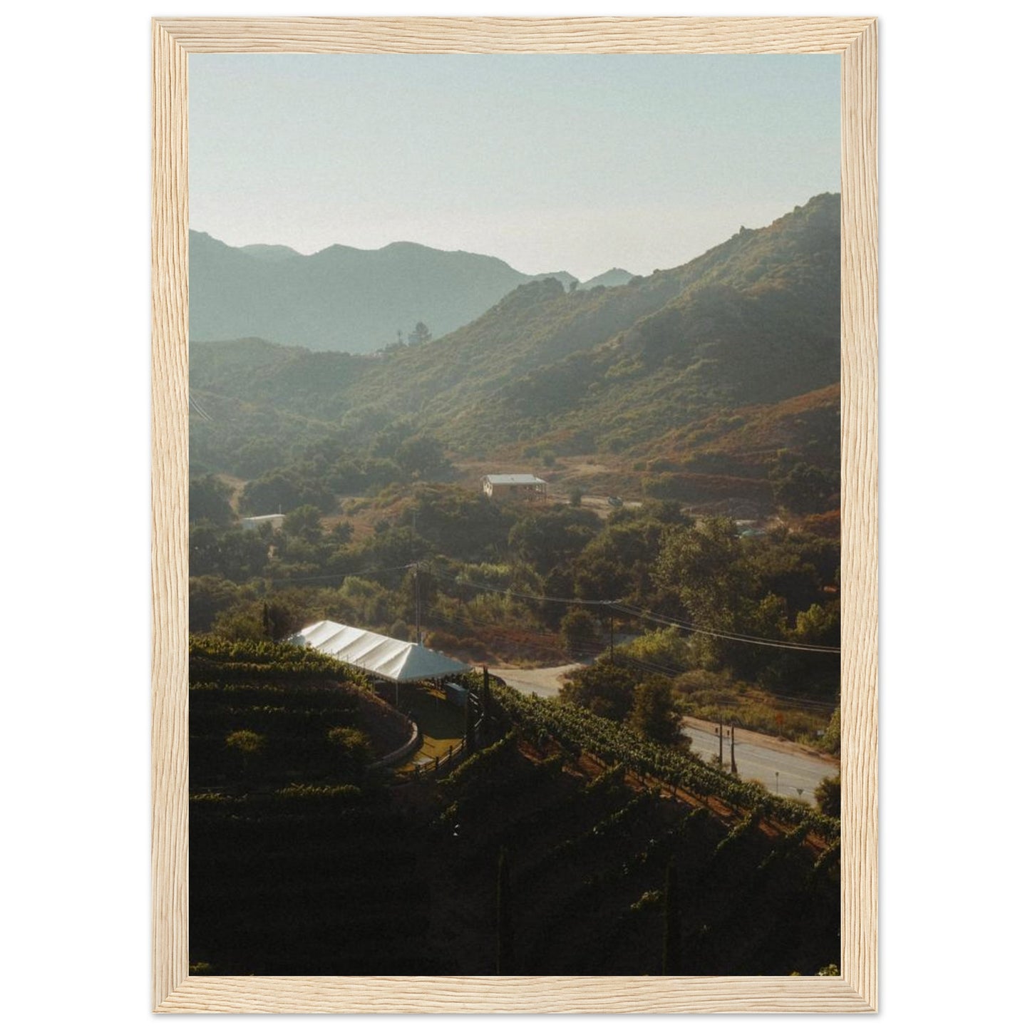 476ee434-7e99-46d3-b439-01b4d613c48a