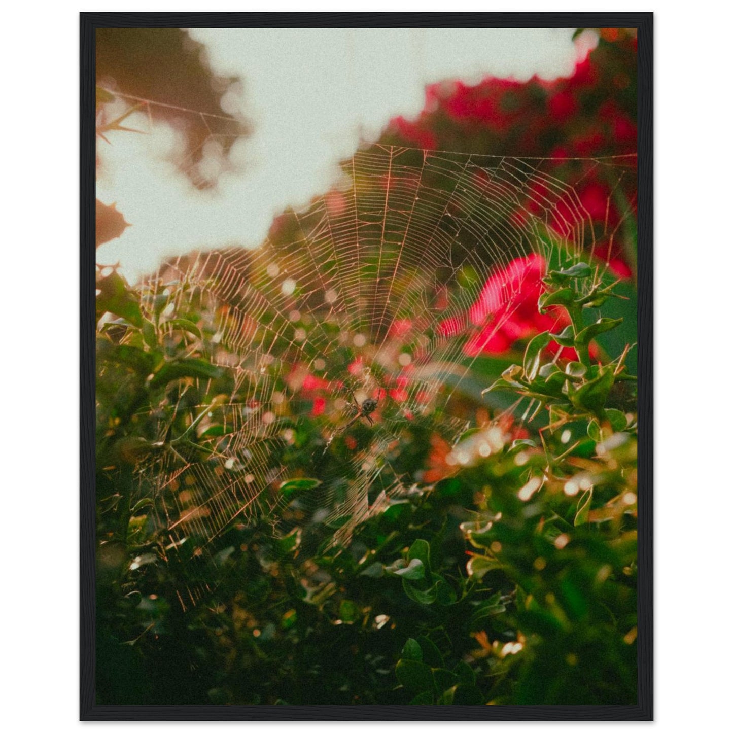 47d085d2-7736-4666-8b93-673789101032