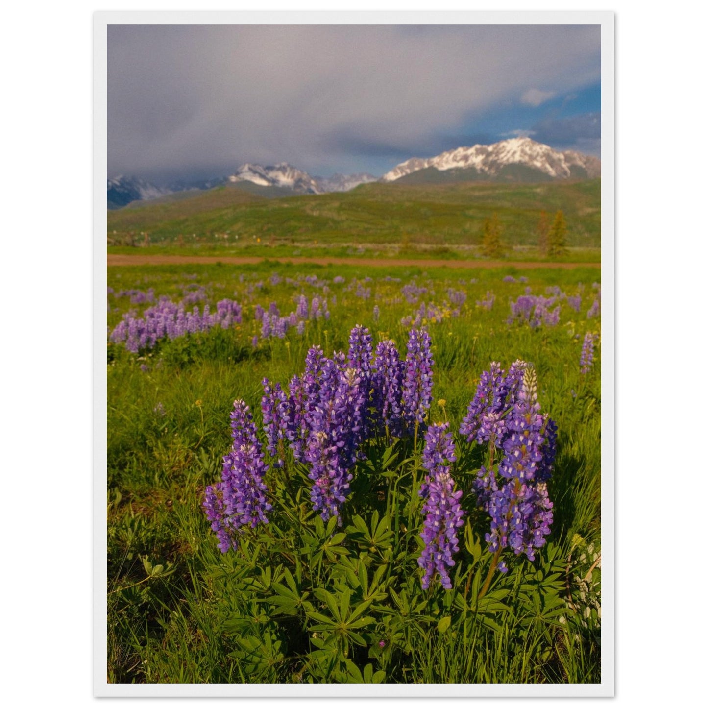 4806971c-17be-49b2-a55a-bf87c3d8e2a9