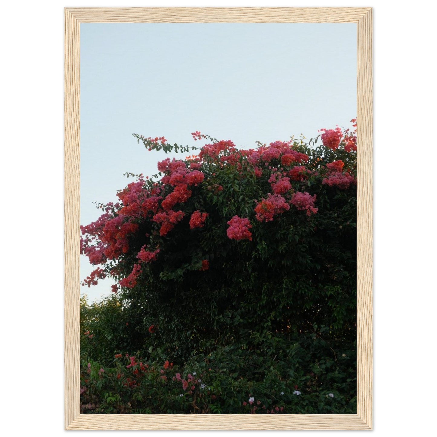 4c9b0601-a750-482c-8745-81e607768b9f