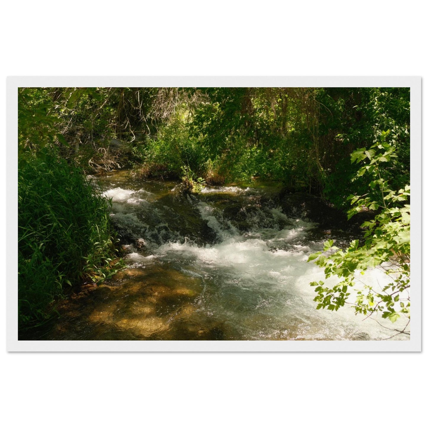 4caf09f7-3543-4333-a6b4-68f6a2b00615