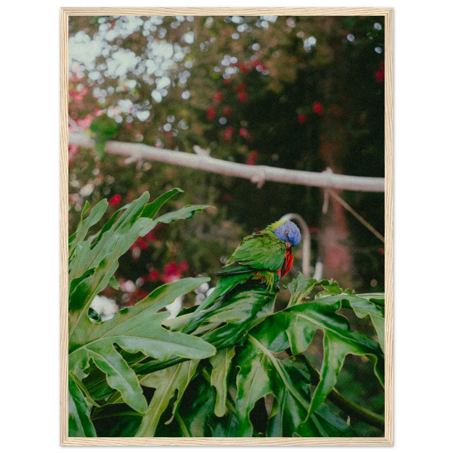 4eef4253-127a-450a-95c1-f05812f966e4