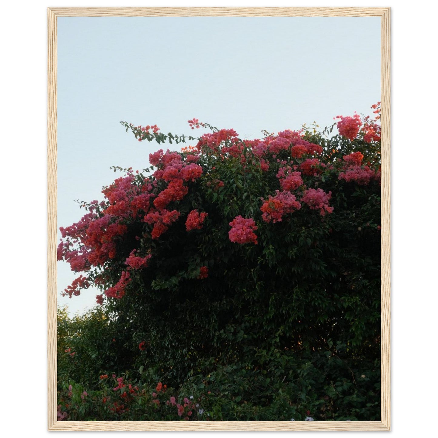 4f806488-4bd4-4748-8ae6-fd5e7c562201