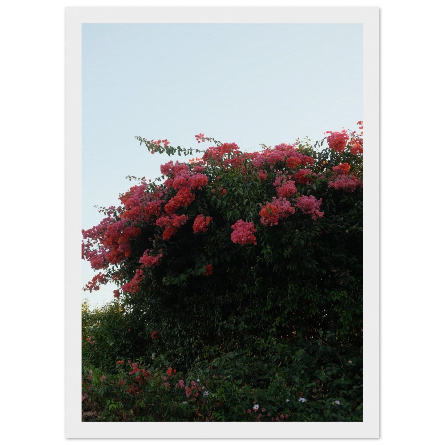 5229ea81-3fc2-49d9-b47e-205b12bdc66b