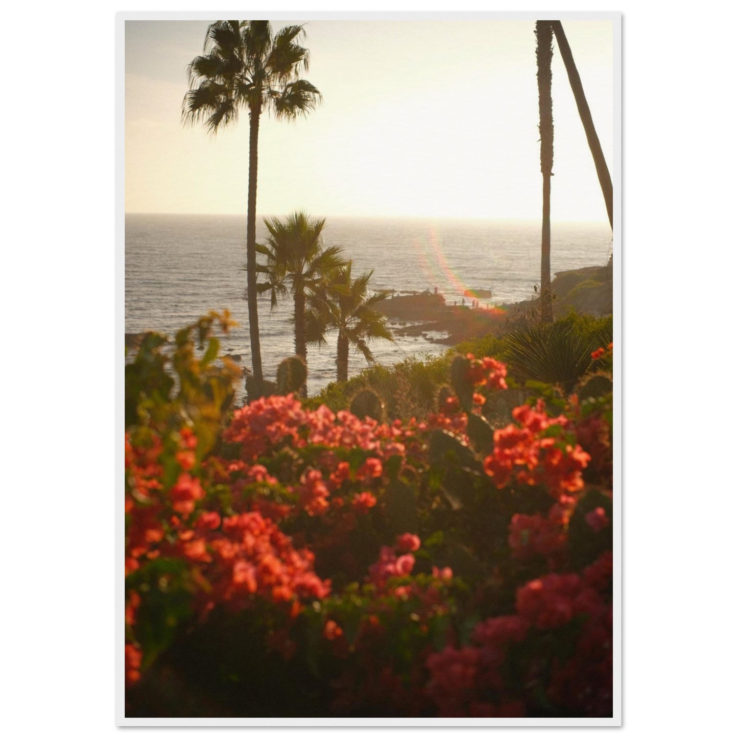 525b3678-0da3-4403-b8f5-a9162574506c