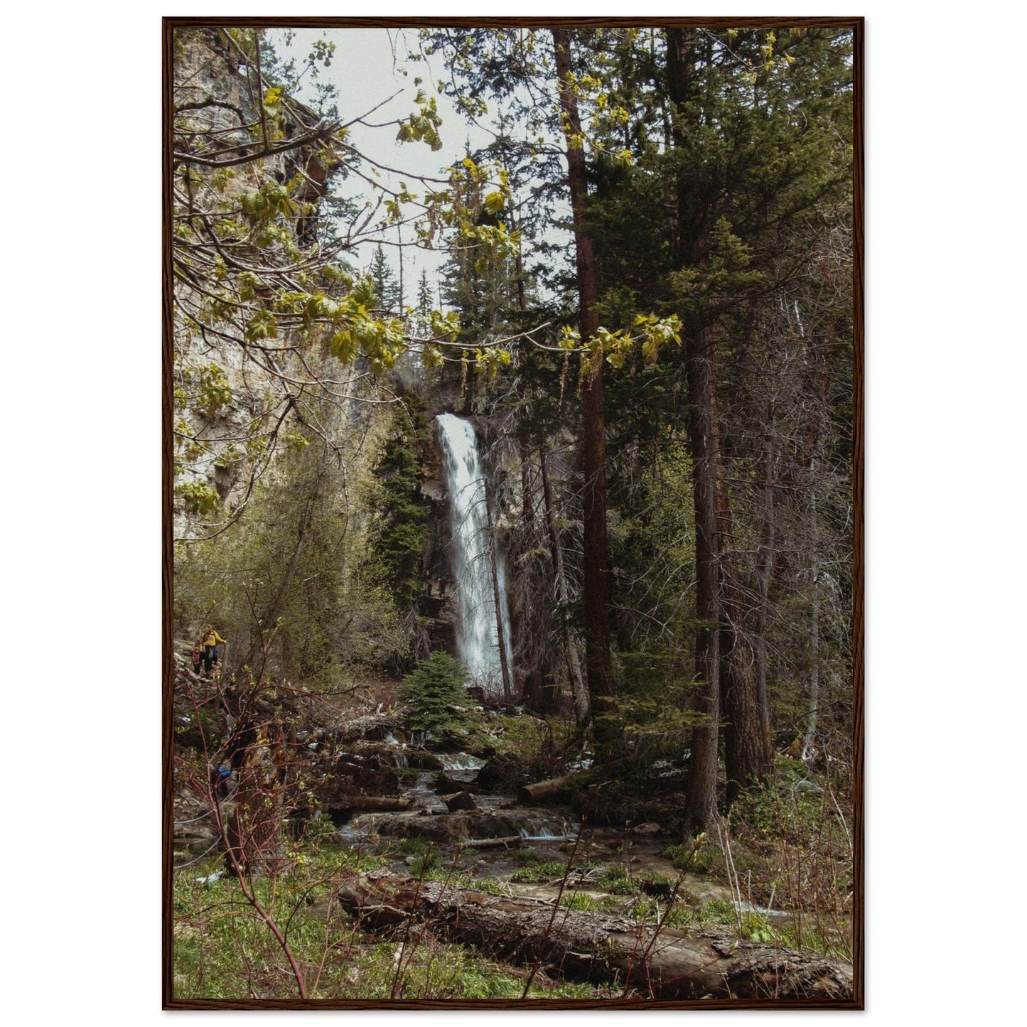 53398556-c69a-4b0a-a524-7abece3cd0fa