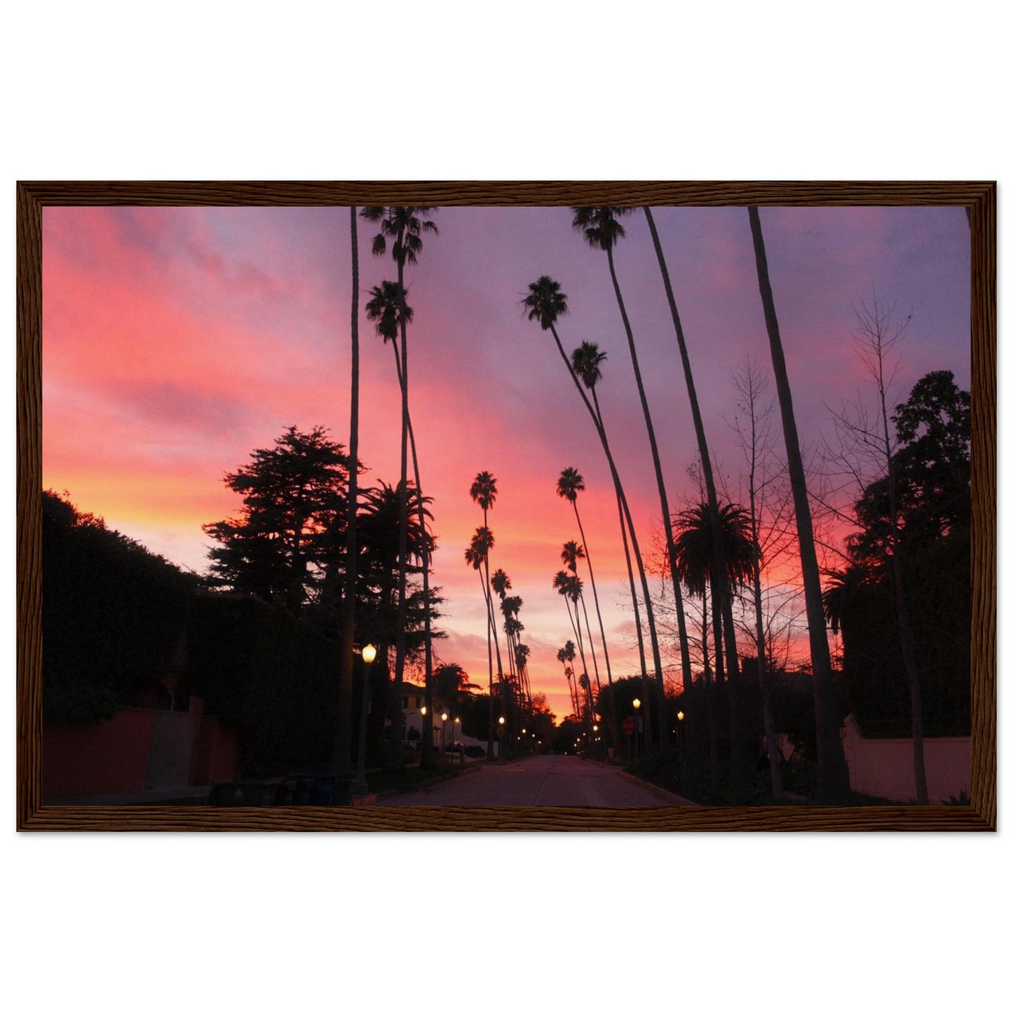 553485c3-4f75-4b01-95de-80aa749fde4f