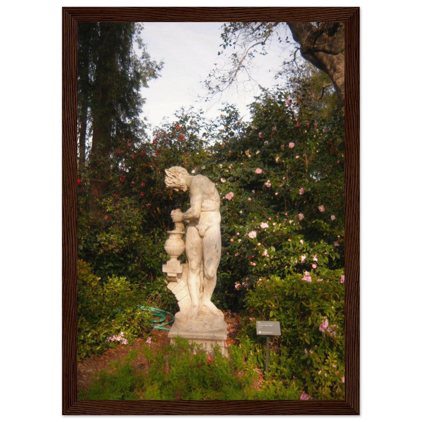 56375cf7-9069-4e48-80af-2d42d8edce1a