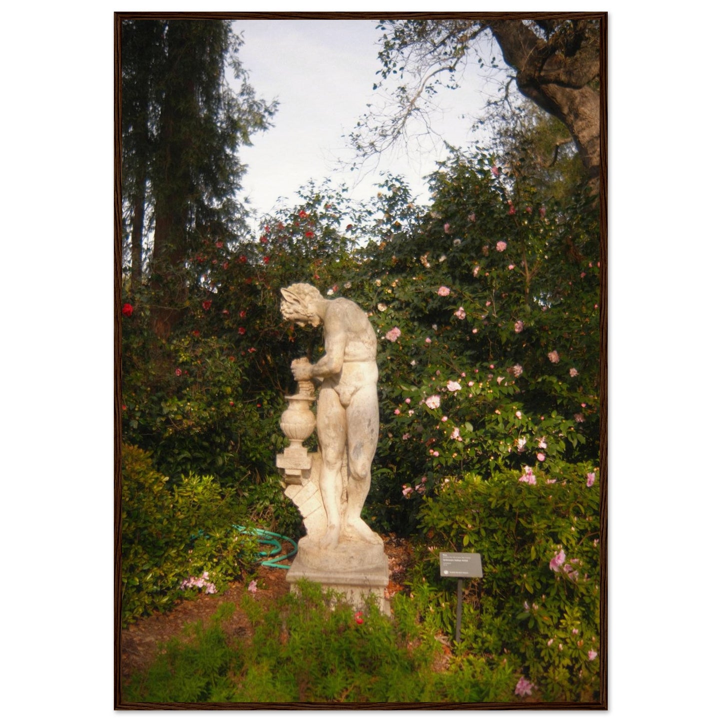 5663d3eb-4173-4425-a890-2eaaa84f9417