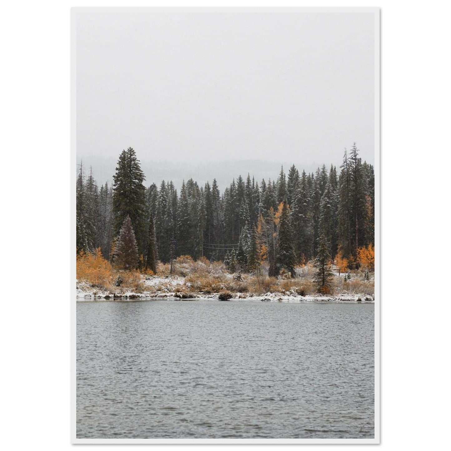 56e3d4fb-174a-45c6-ae93-01f126655458