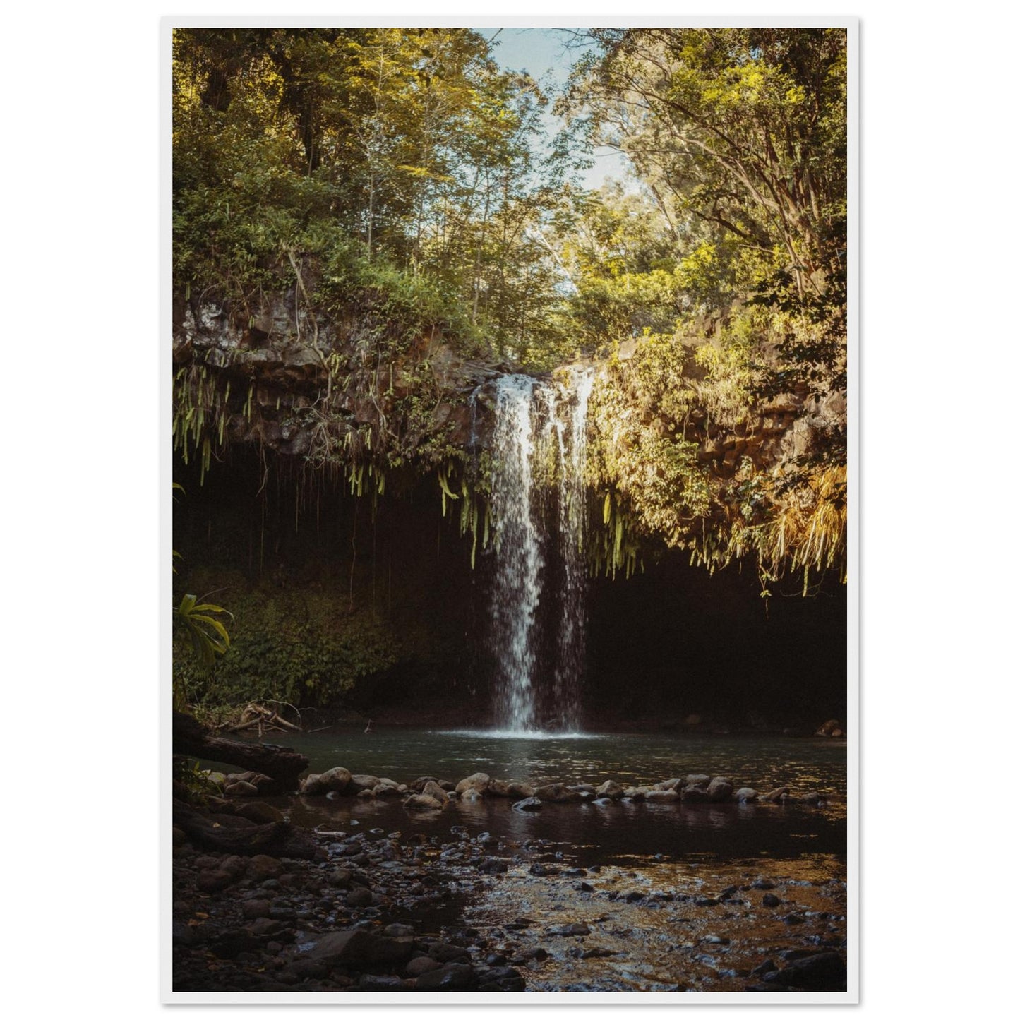 57dc2348-fdbb-448b-ad11-d55dfcf5d9d5