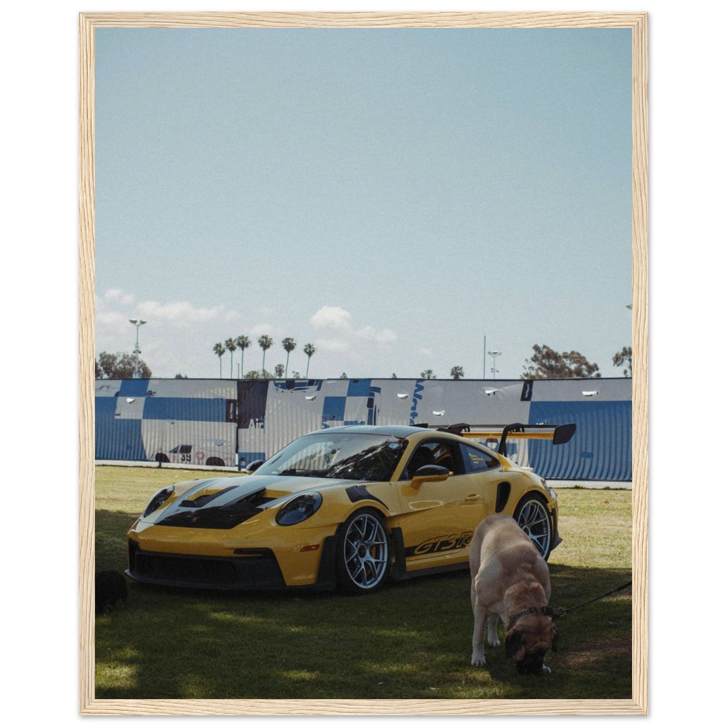 584f873b-8528-47e8-b749-8e4a364dbab6