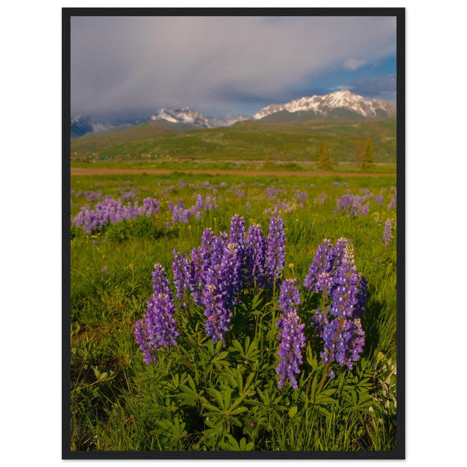 5a105a26-25ef-49fe-9478-80a23e7e4571