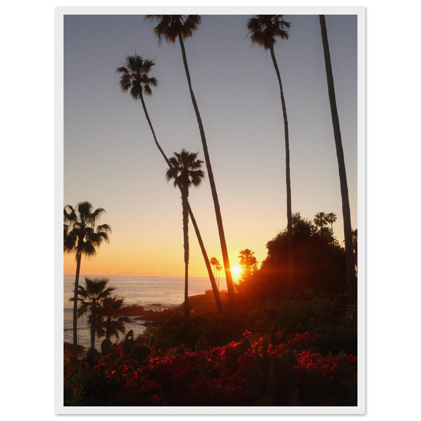 5a16be6d-8004-43ea-b111-1374f608aa50